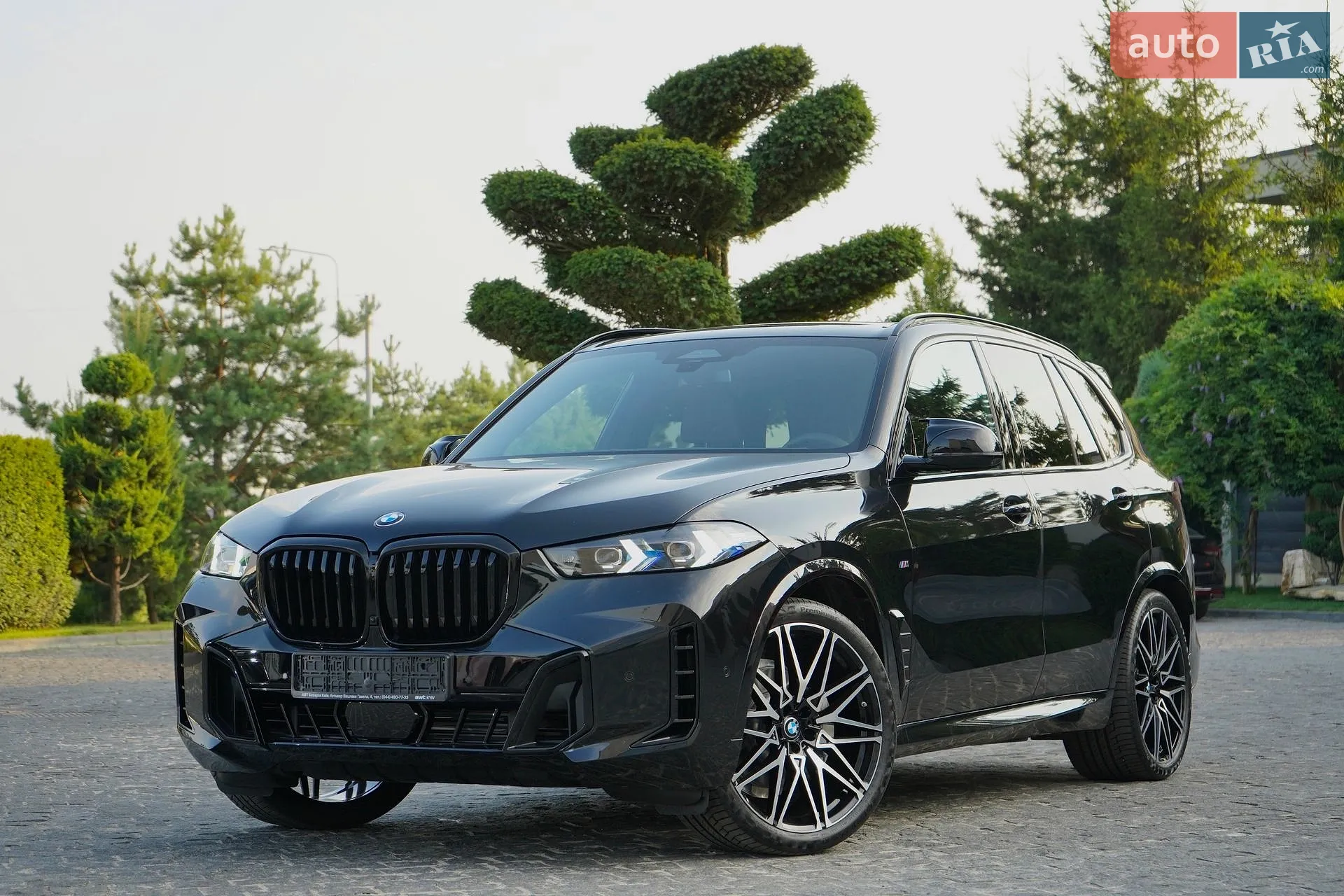 2025 BMW X5 - мініатюра 13
