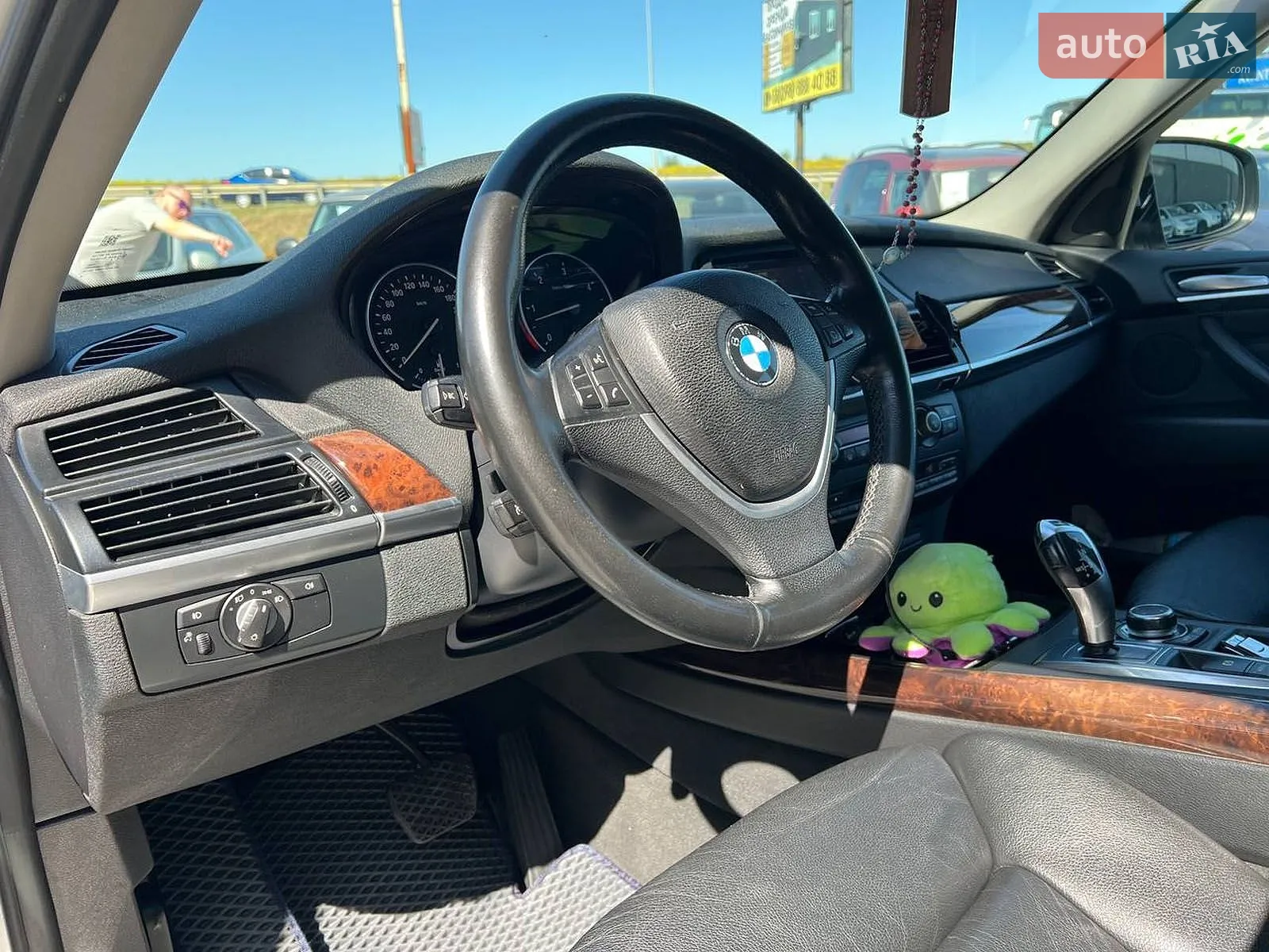 2010 BMW X5 - мініатюра 20