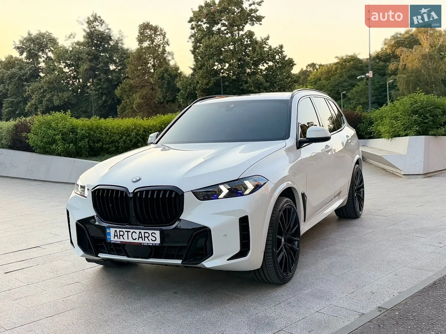 2019 BMW X5 - мініатюра 30