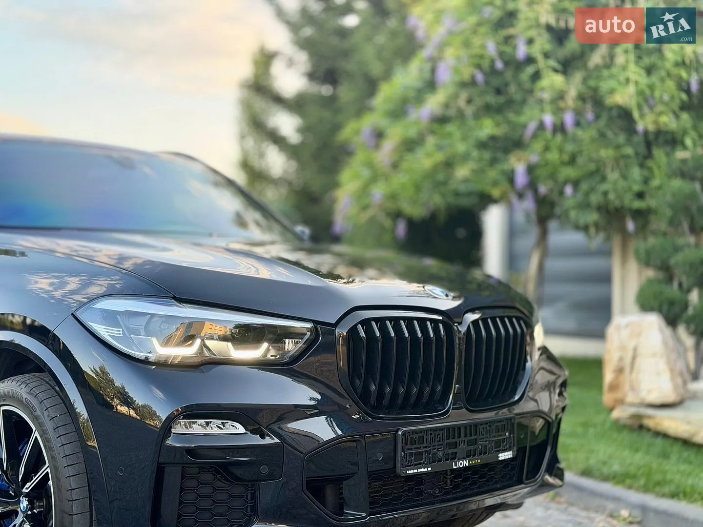2019 BMW X5 - мініатюра 43