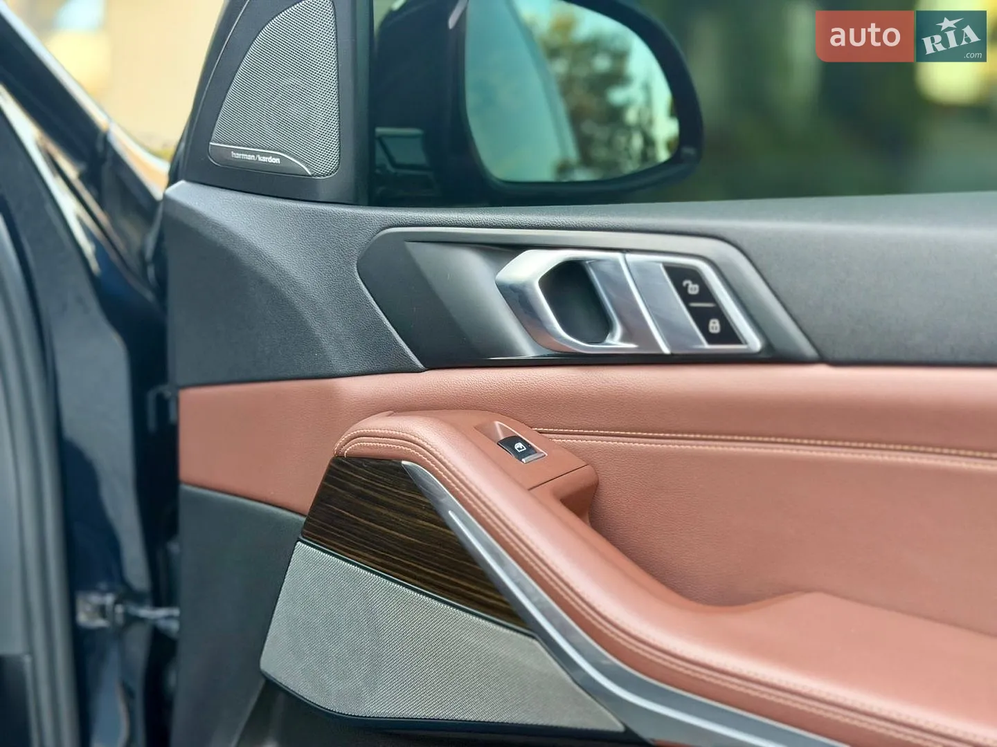 2019 BMW X5 - мініатюра 83