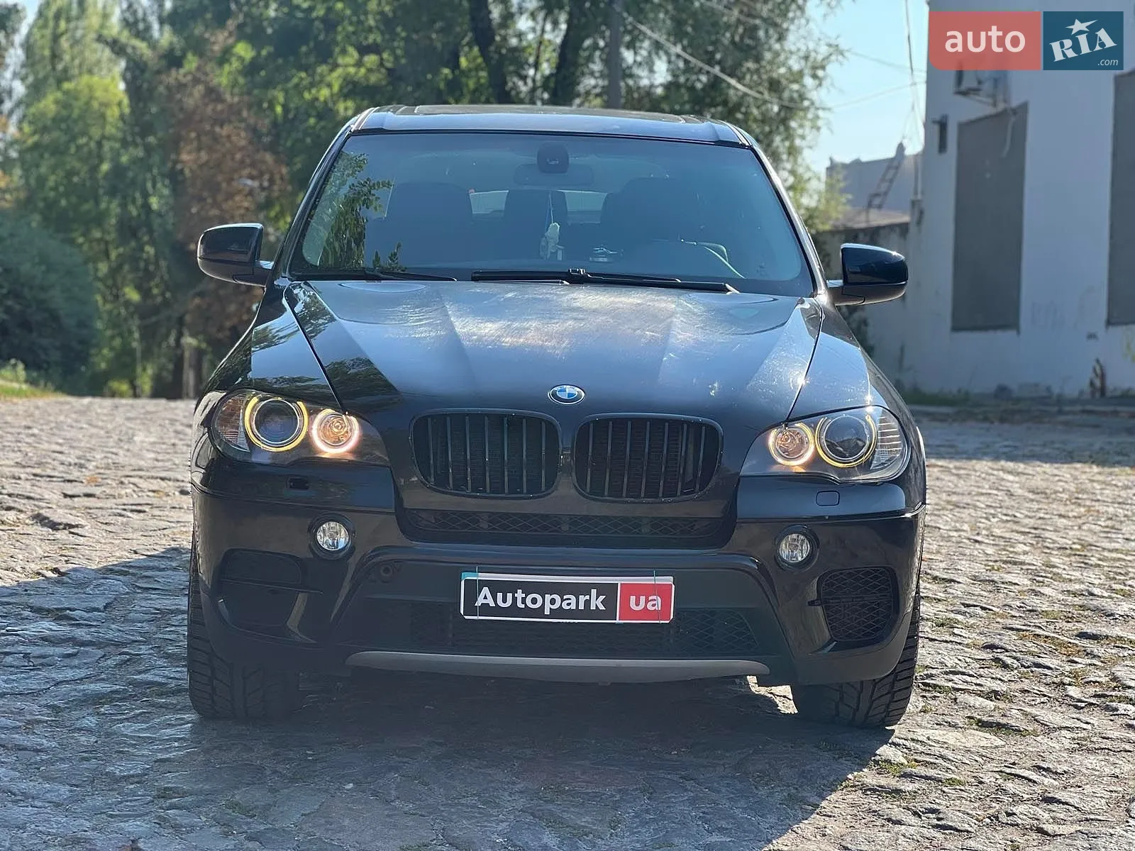 2010 BMW X5 - мініатюра 2