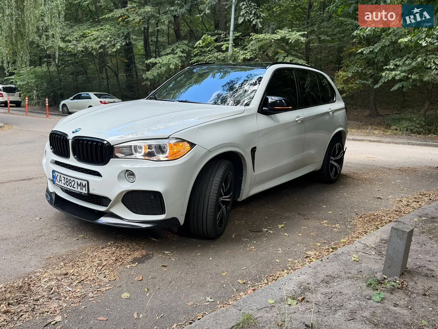 2014 BMW X5 - мініатюра 3