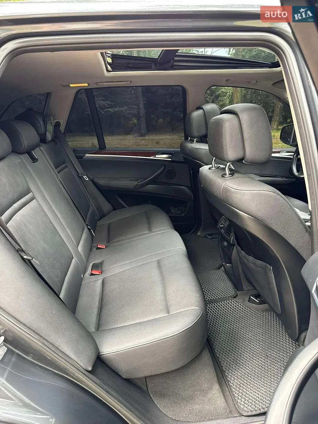 2010 BMW X5 - мініатюра 11