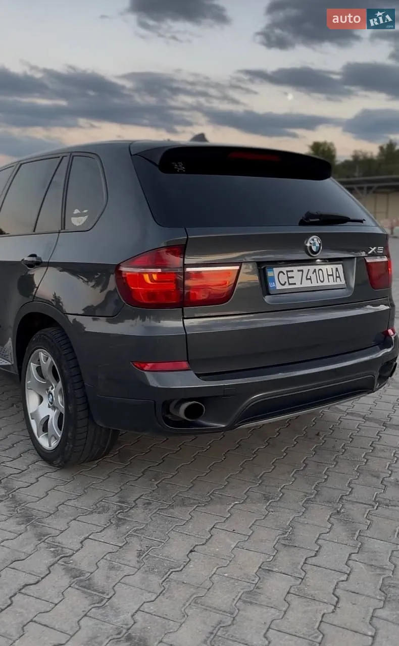 2010 BMW X5 - мініатюра 16