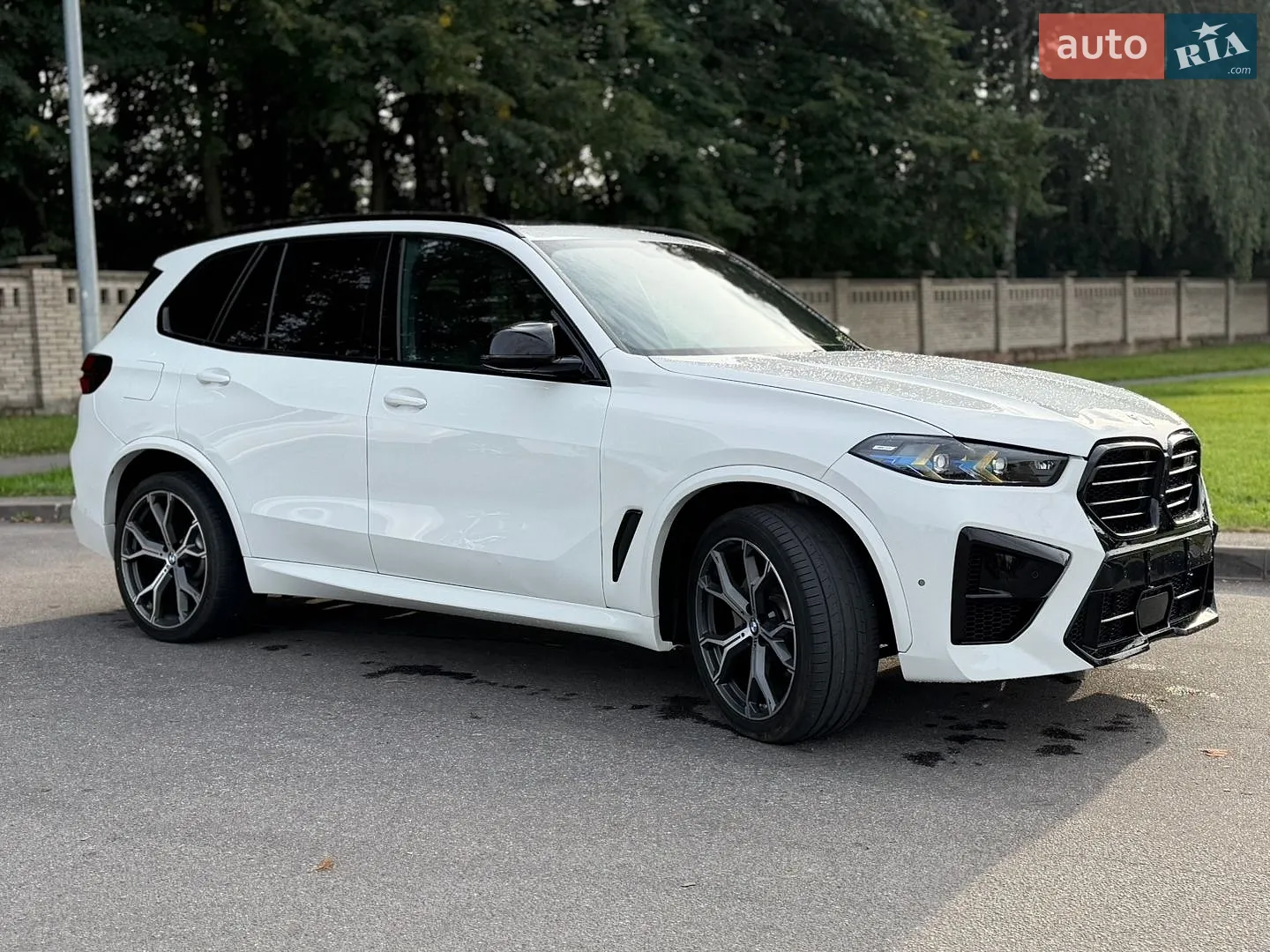2020 BMW X5 - мініатюра 4