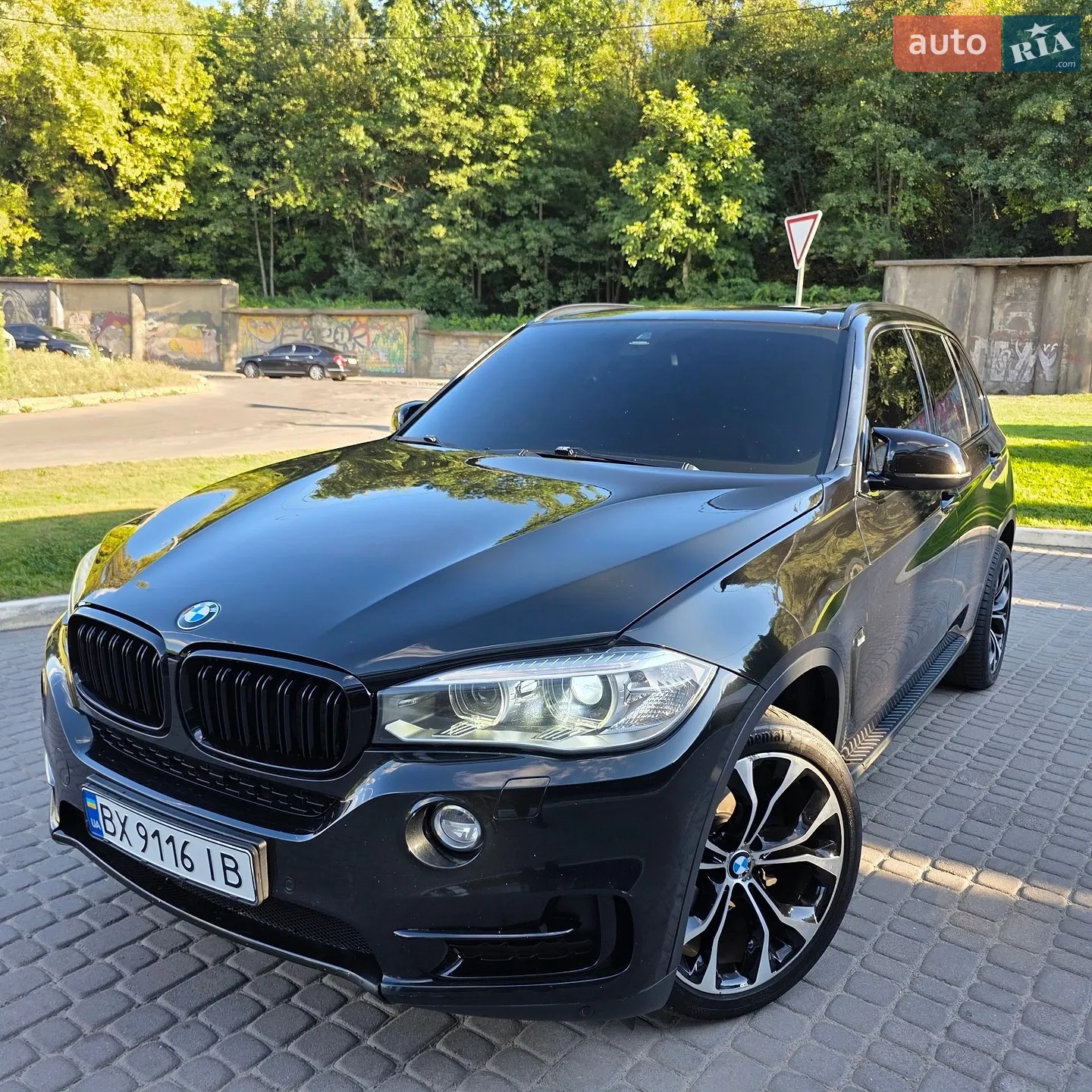 2013 BMW X5 - фото 1