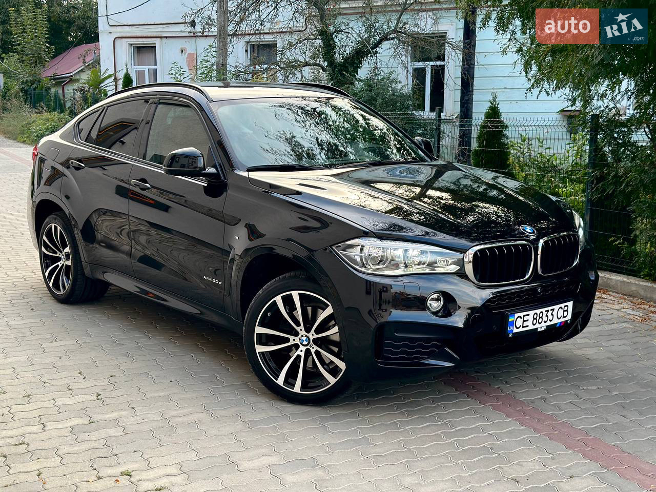 2019 BMW X6 - мініатюра 40