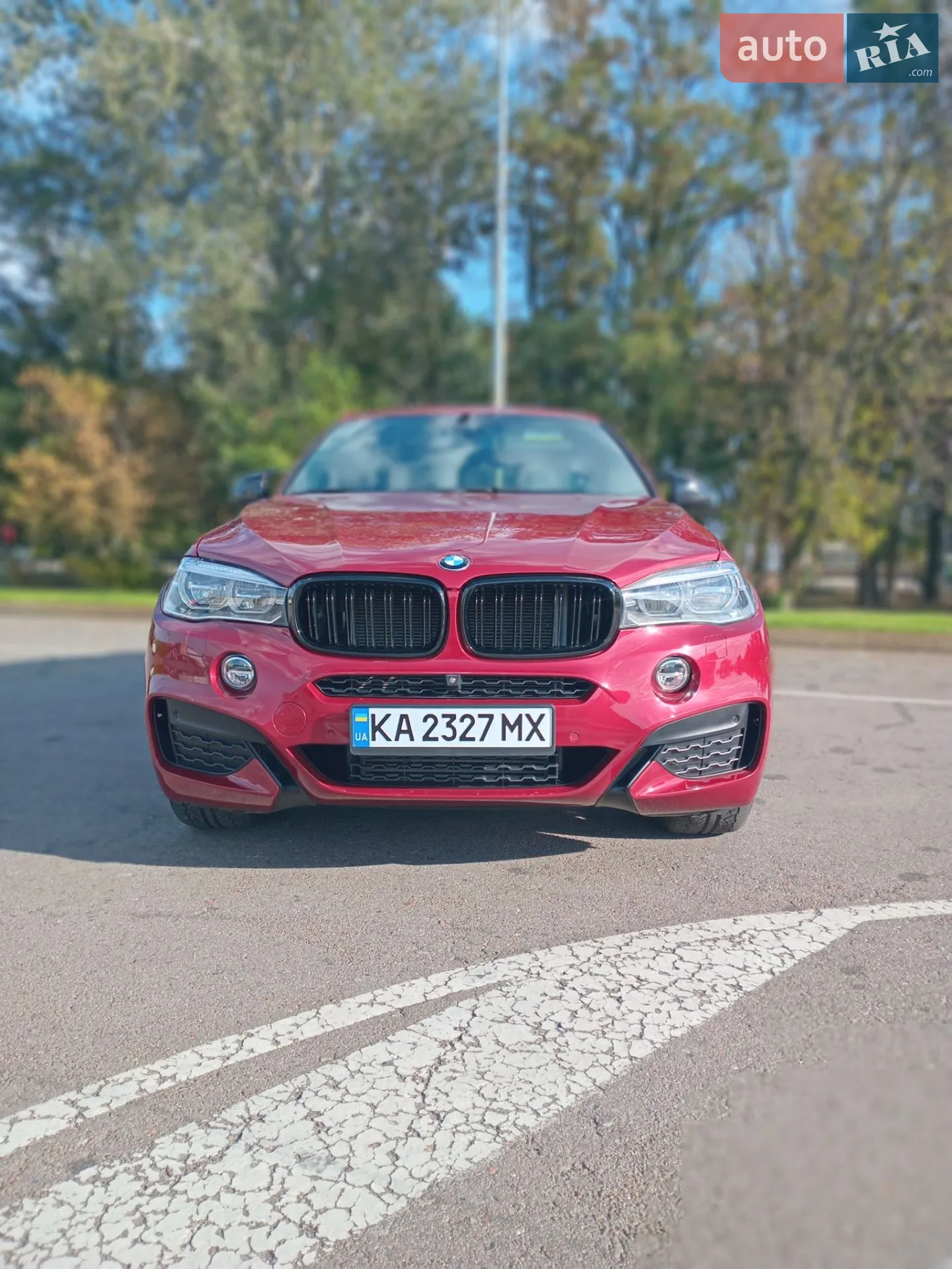 2017 BMW X6 - мініатюра 2