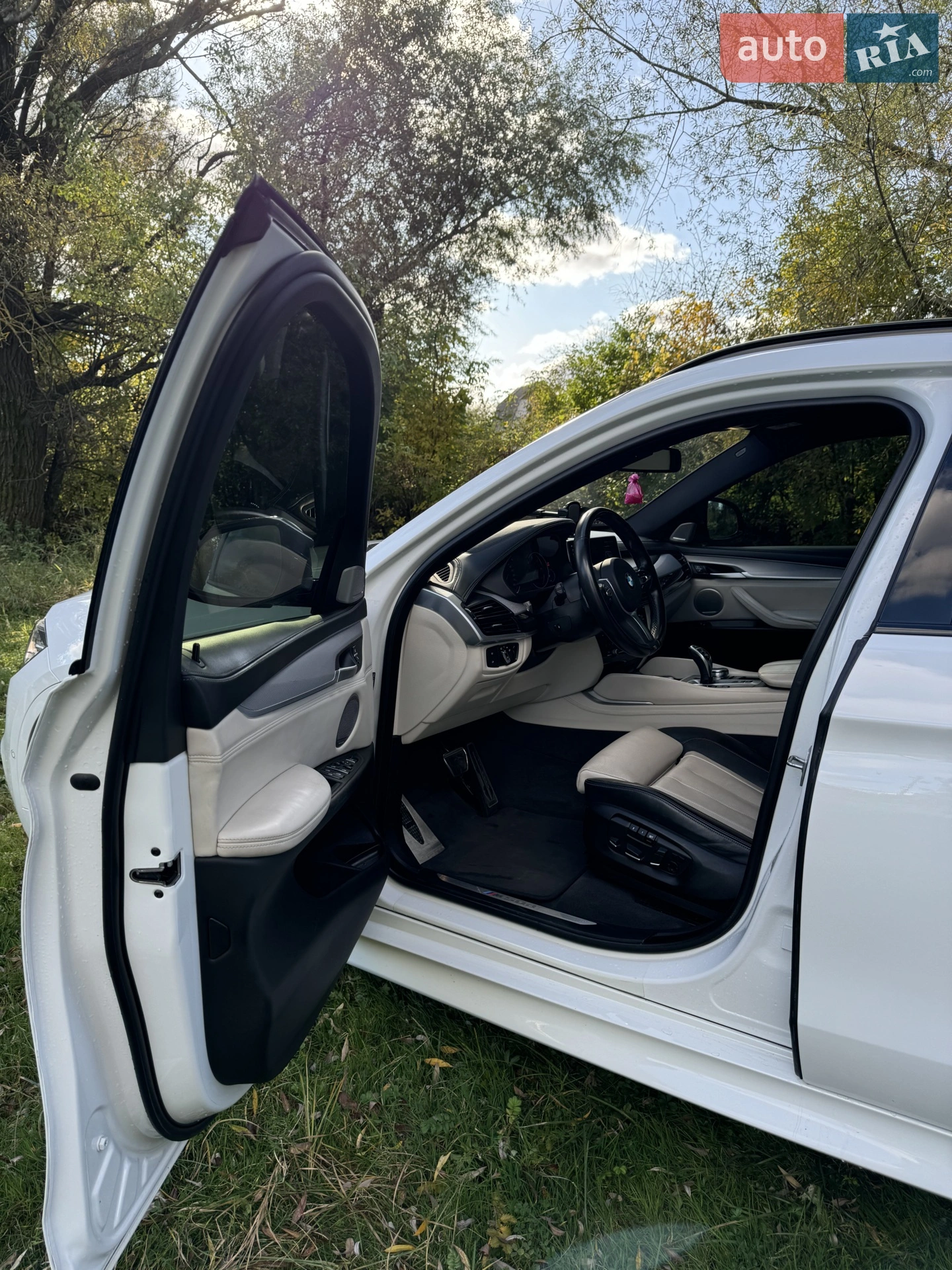 2018 BMW X6 - мініатюра 8