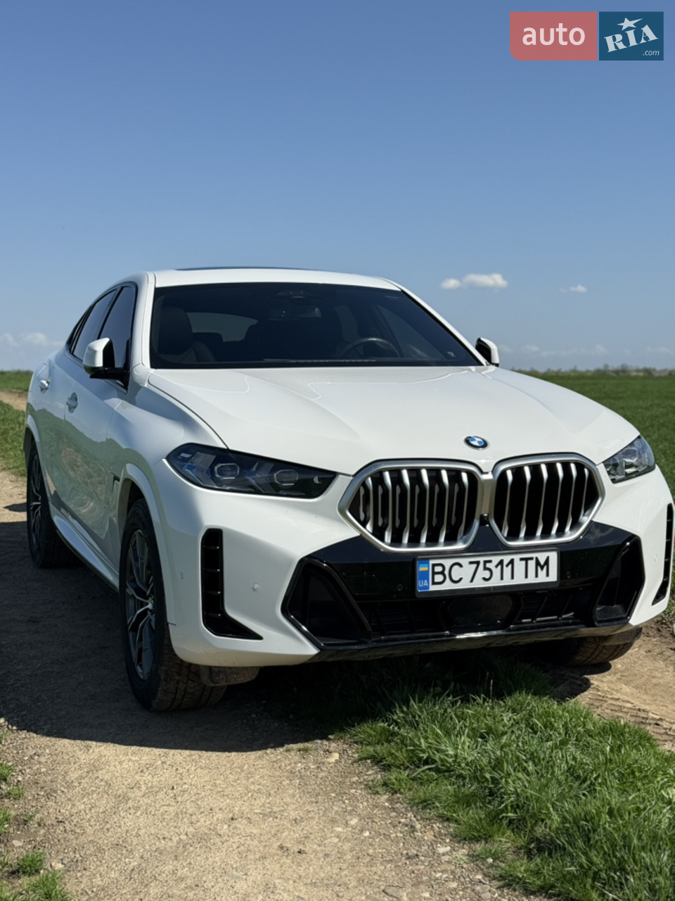 2022 BMW X6 - мініатюра 78