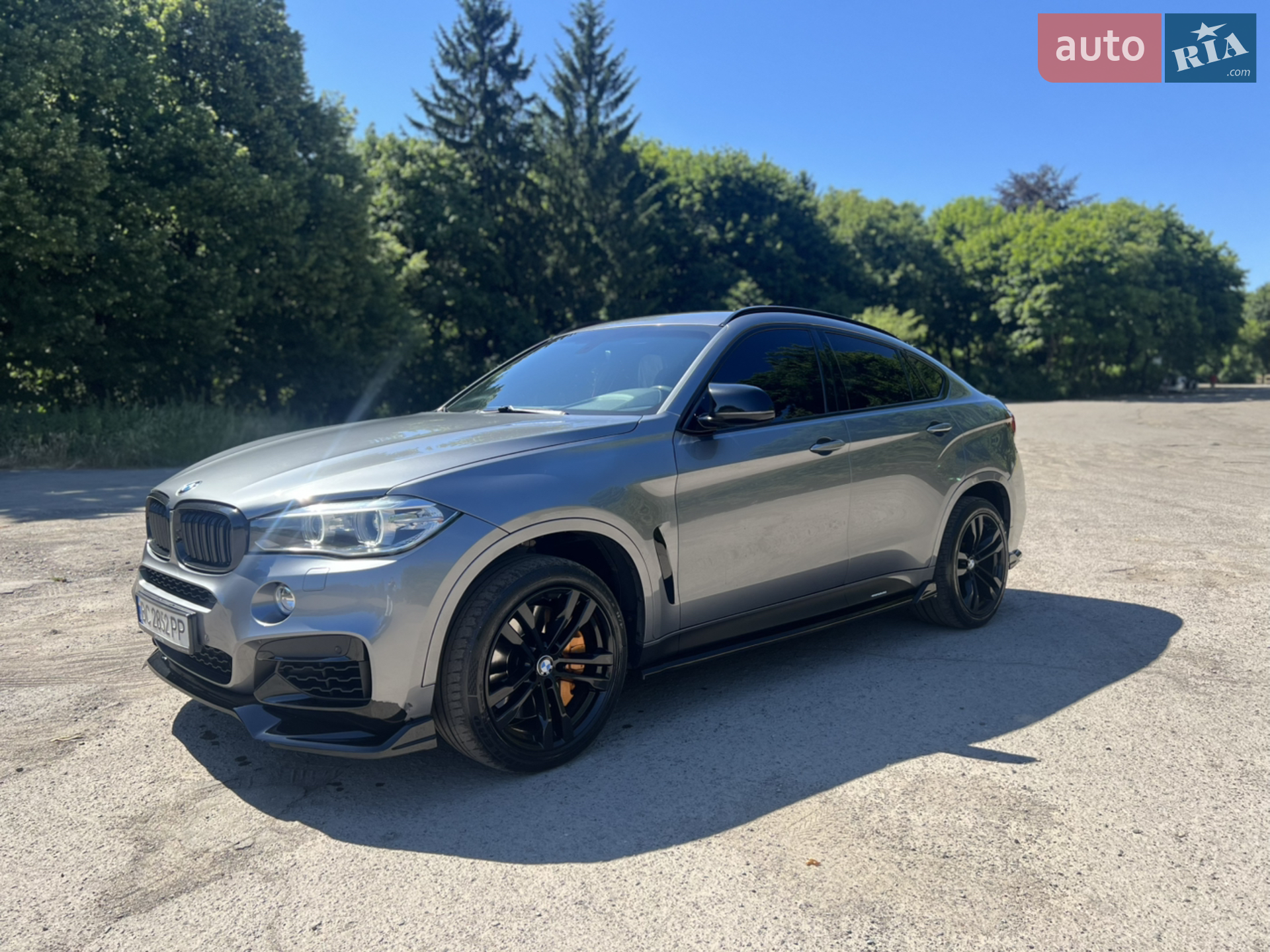2014 BMW X6 - мініатюра 3