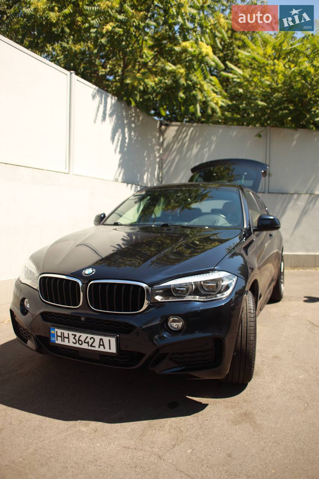 2018 BMW X6 - мініатюра 2
