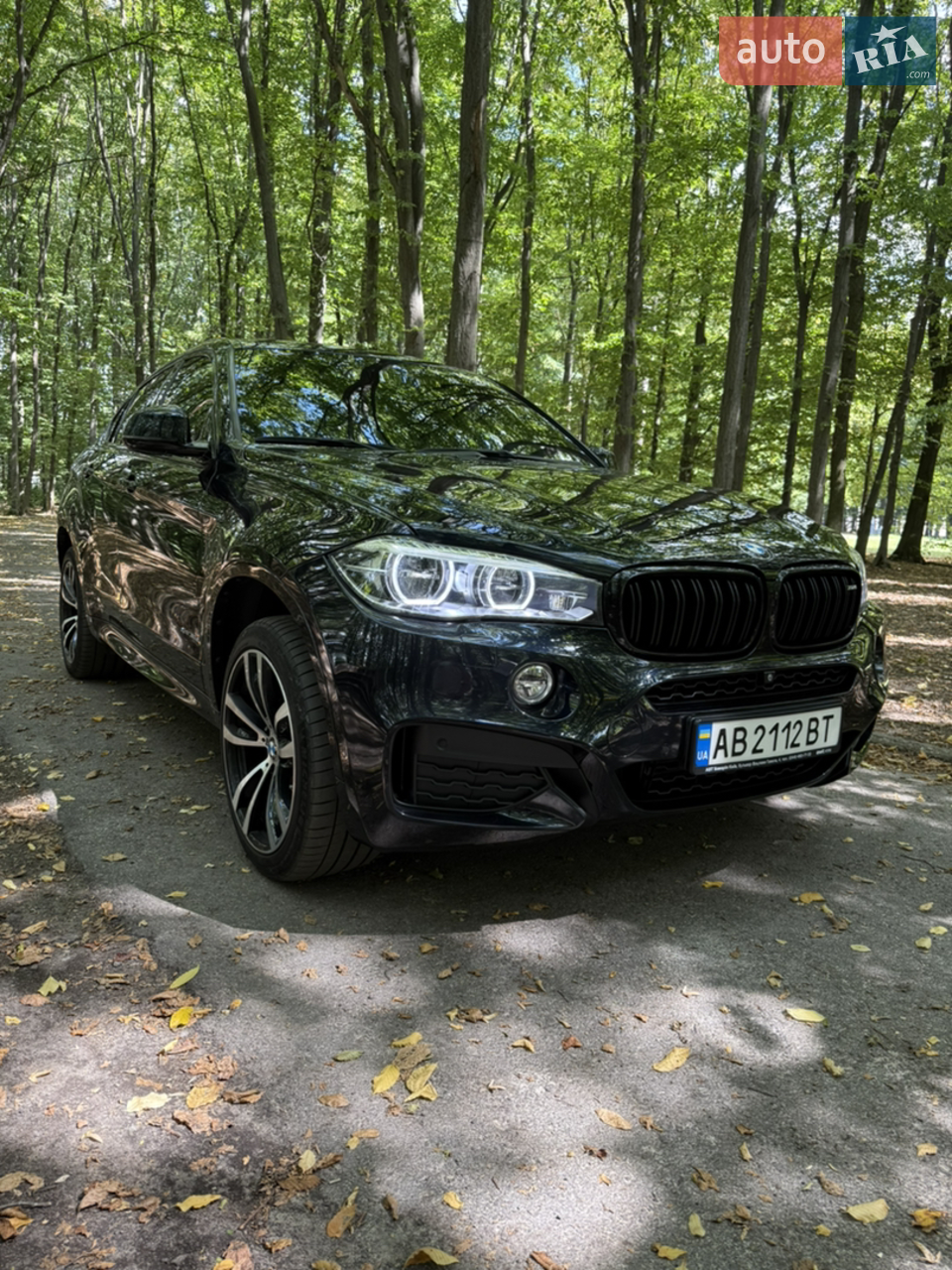 2018 BMW X6 - мініатюра 32