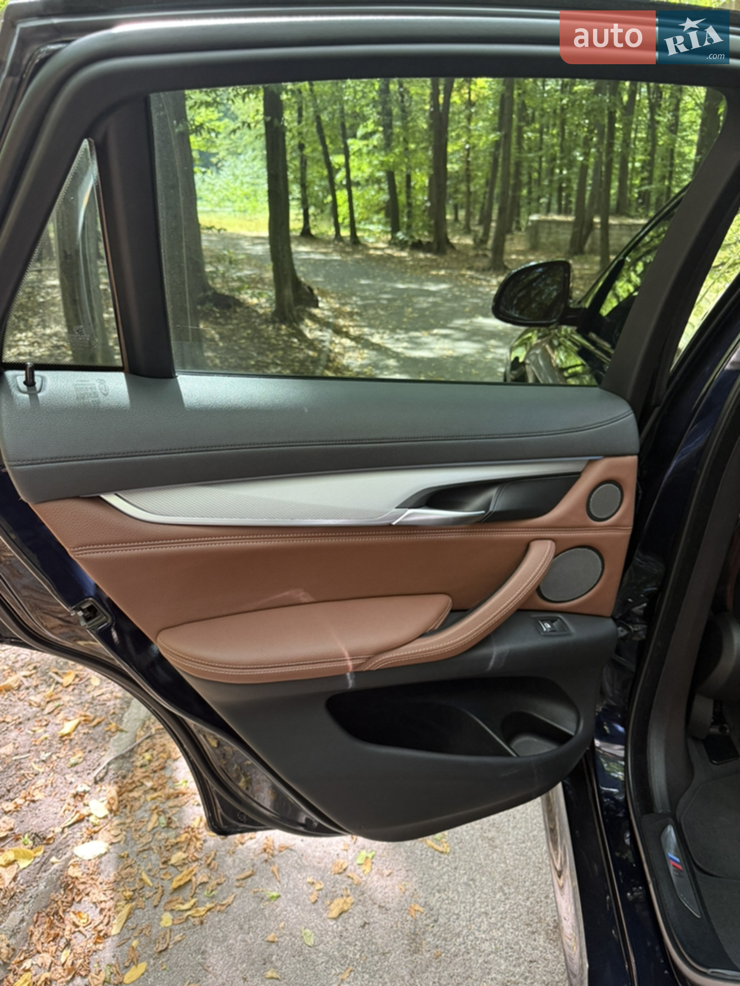 2019 BMW X6 - мініатюра 12