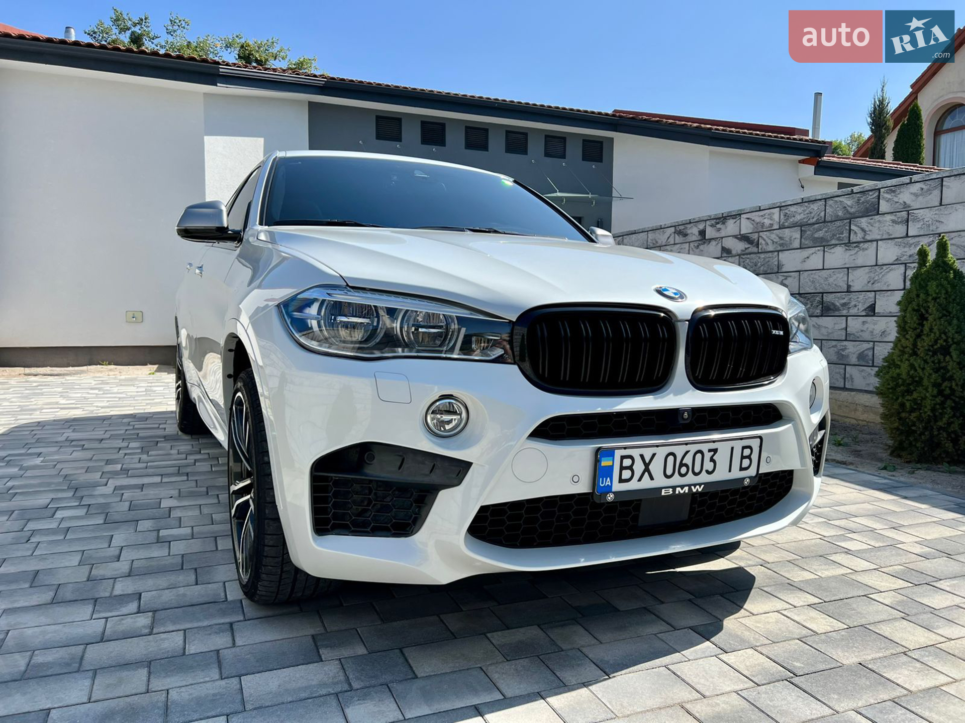 2017 BMW X6 - мініатюра 2