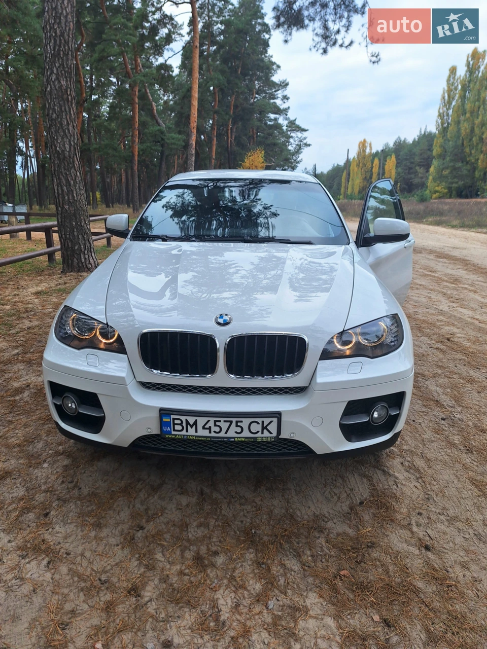 2010 BMW X6 - мініатюра 30