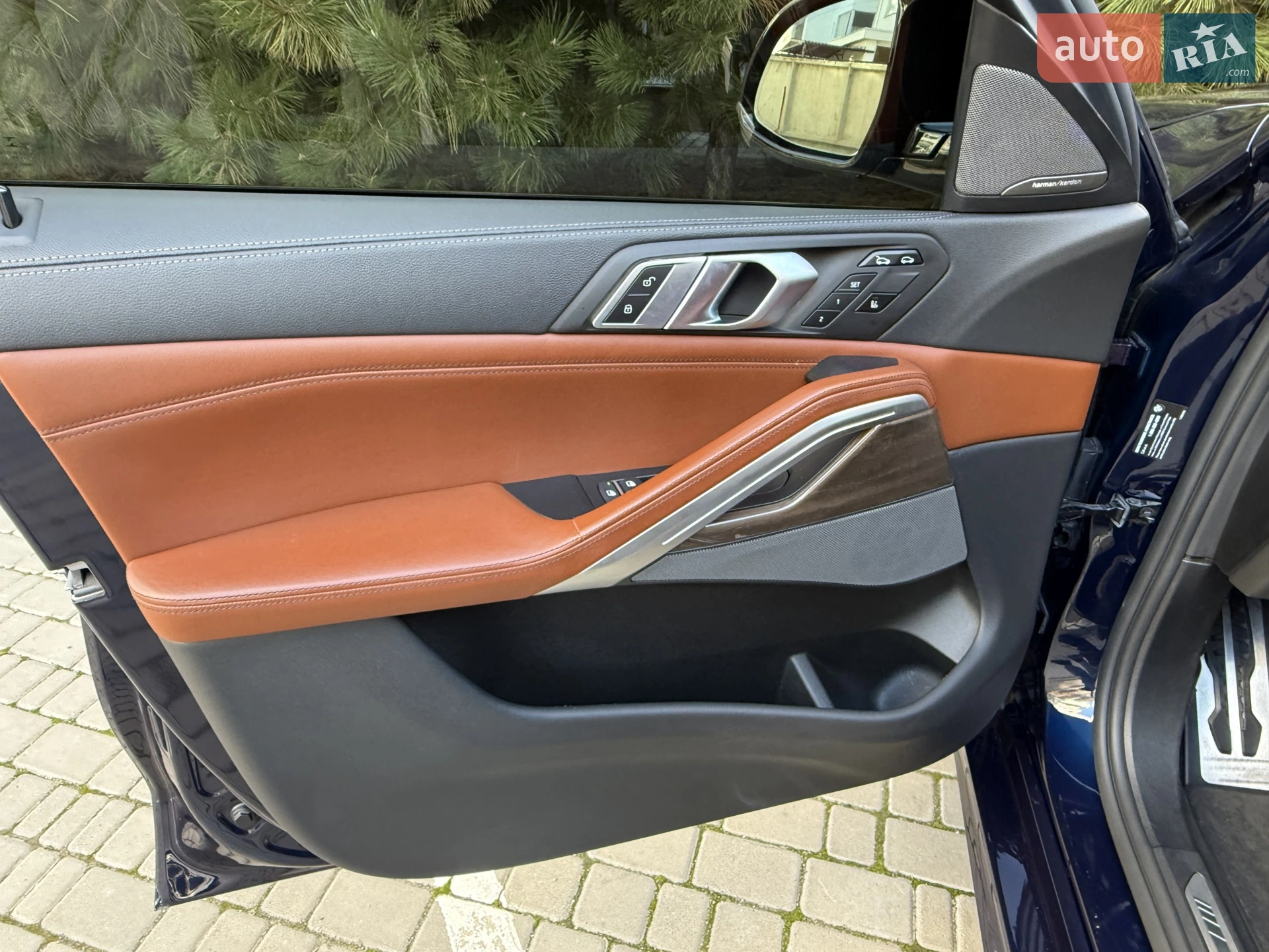 2020 BMW X6 - мініатюра 55