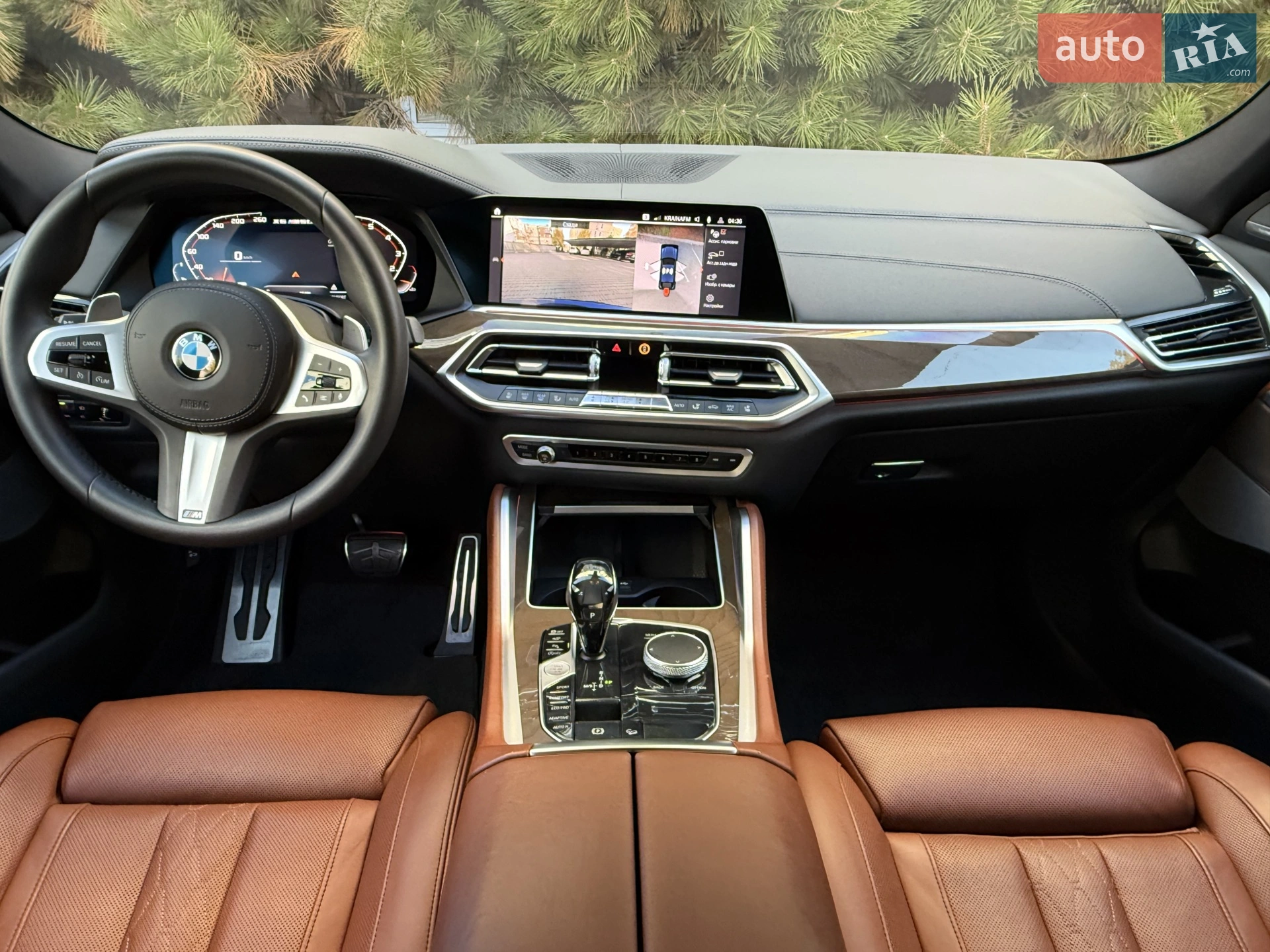 2020 BMW X6 - мініатюра 65