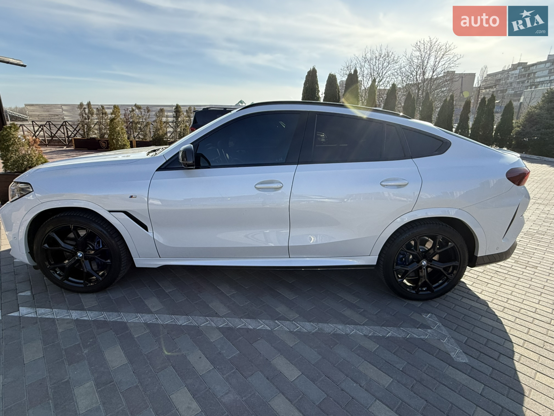 2020 BMW X6 - мініатюра 4
