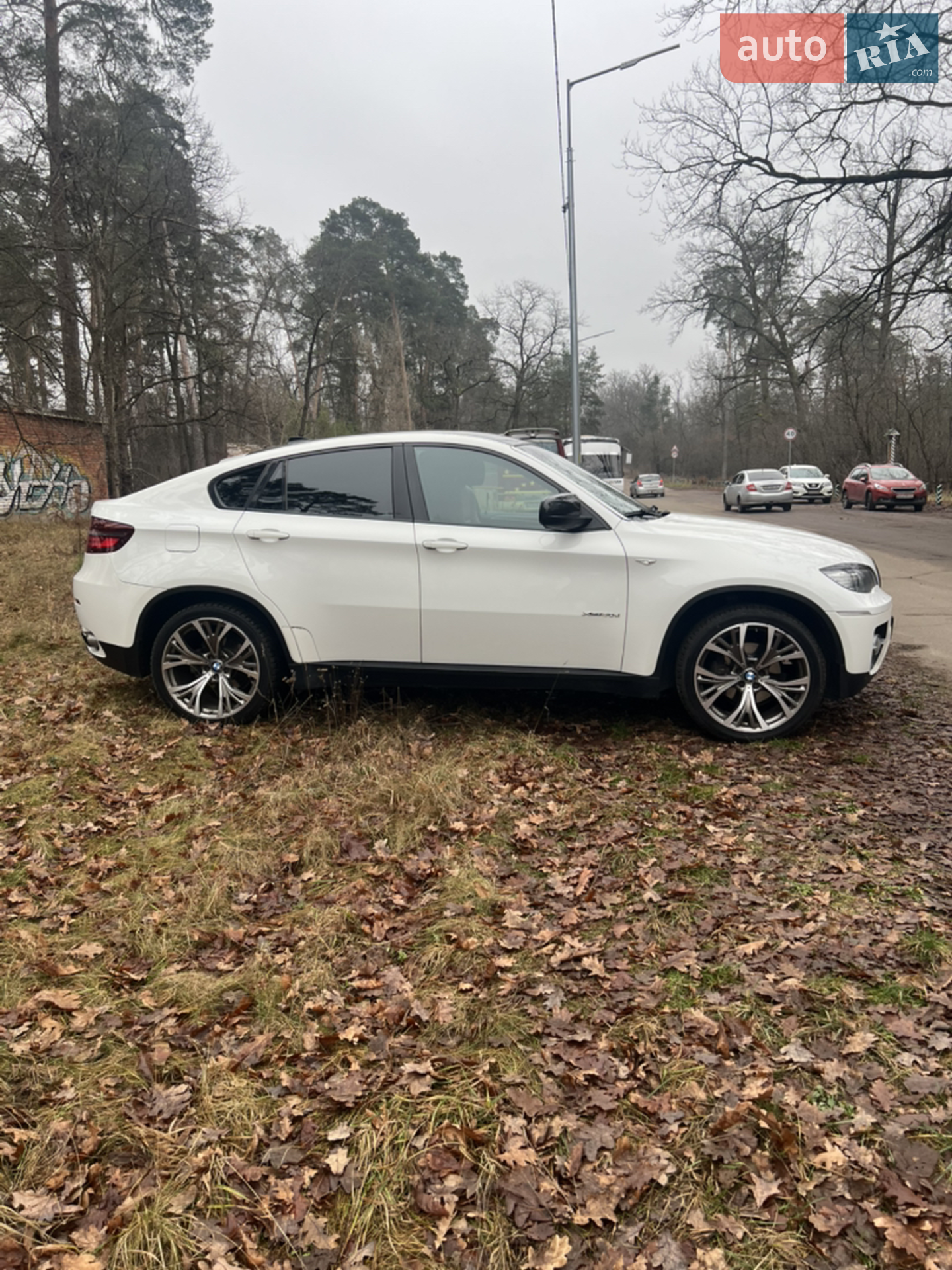 2011 BMW X6 - мініатюра 24