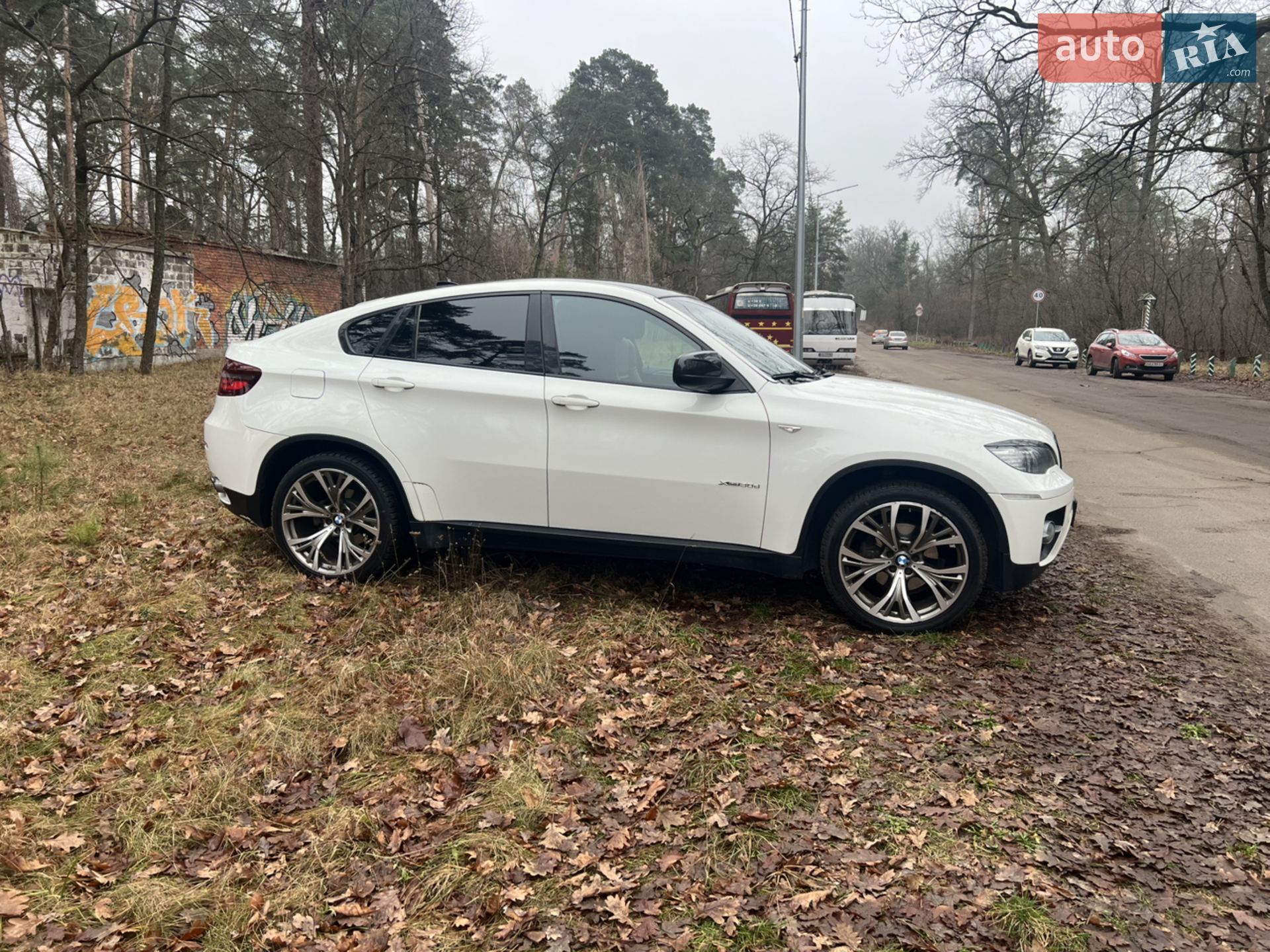 2011 BMW X6 - мініатюра 25