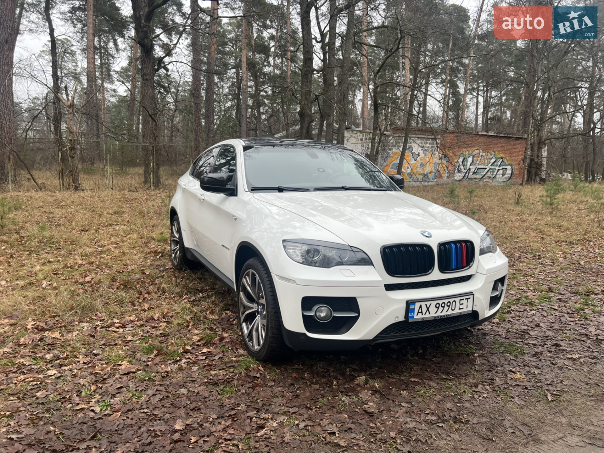 2011 BMW X6 - мініатюра 28