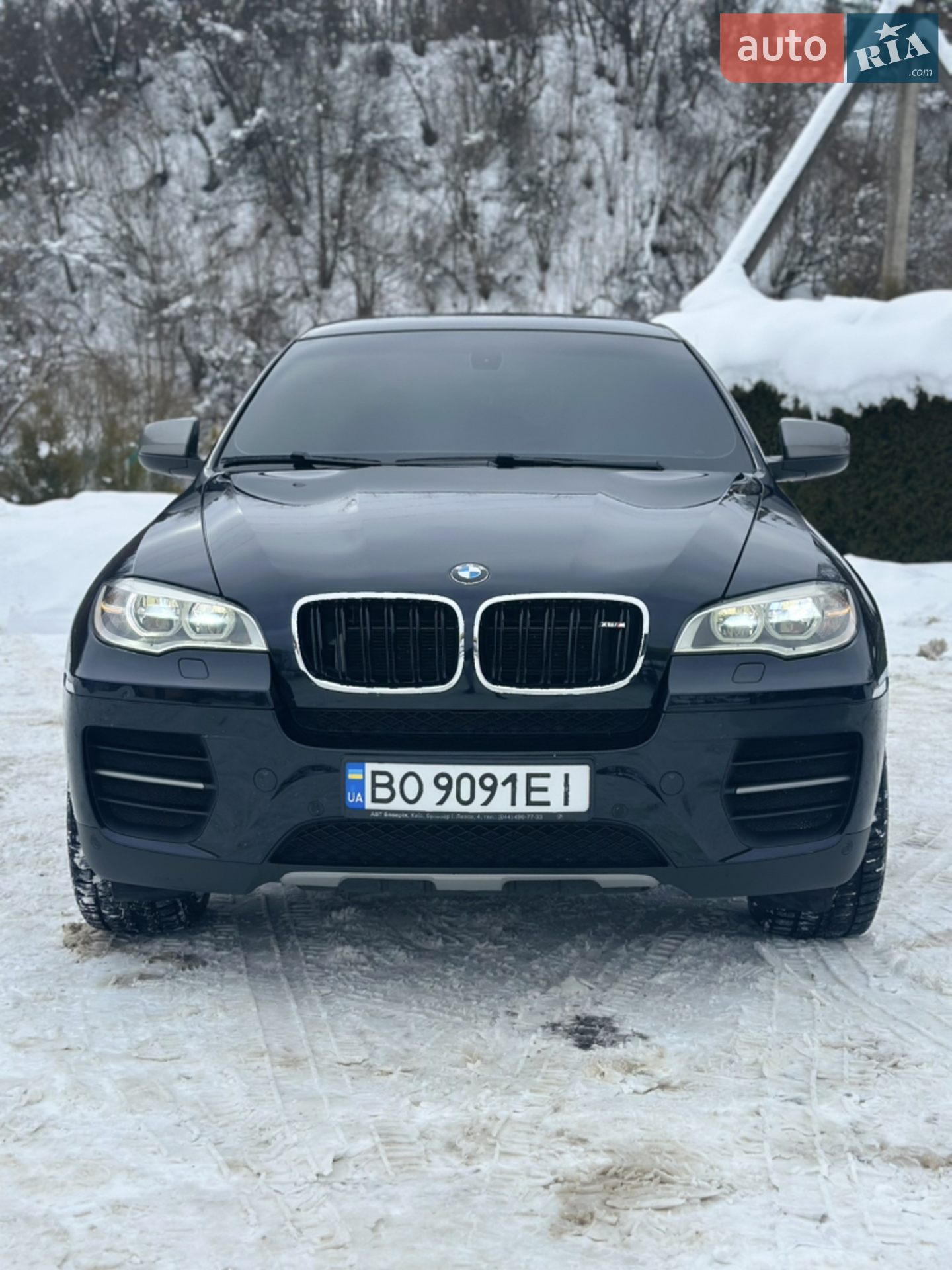 2013 BMW X6 - мініатюра 2