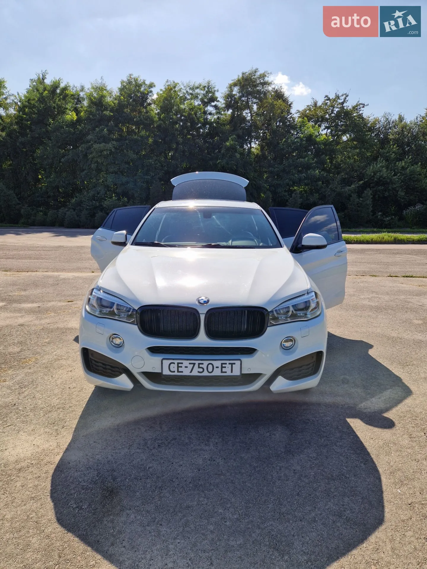 2014 BMW X6 - мініатюра 62