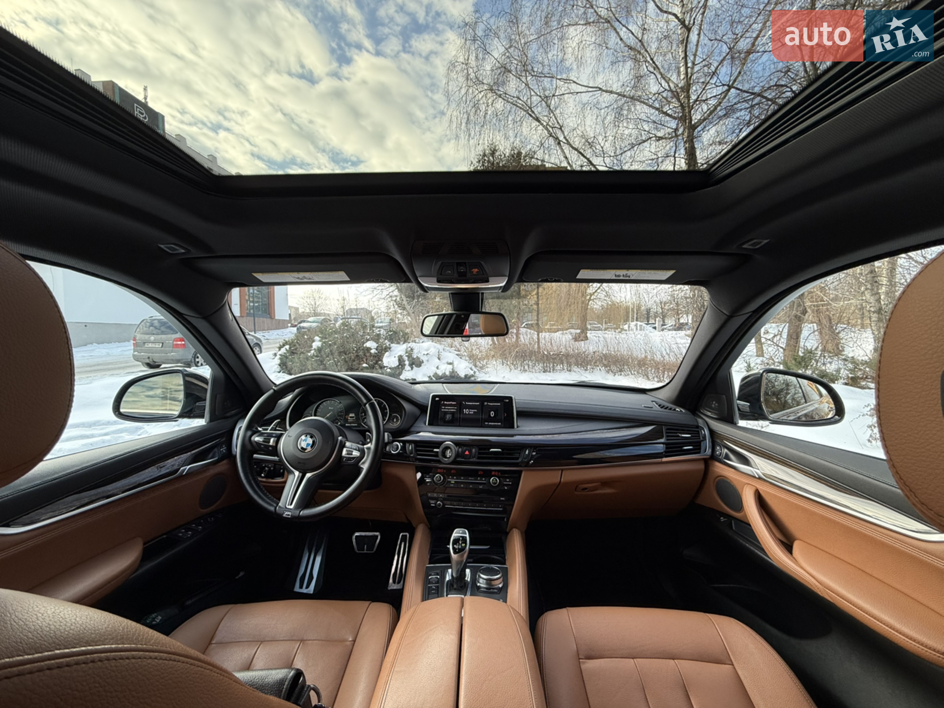 2017 BMW X6 - мініатюра 25