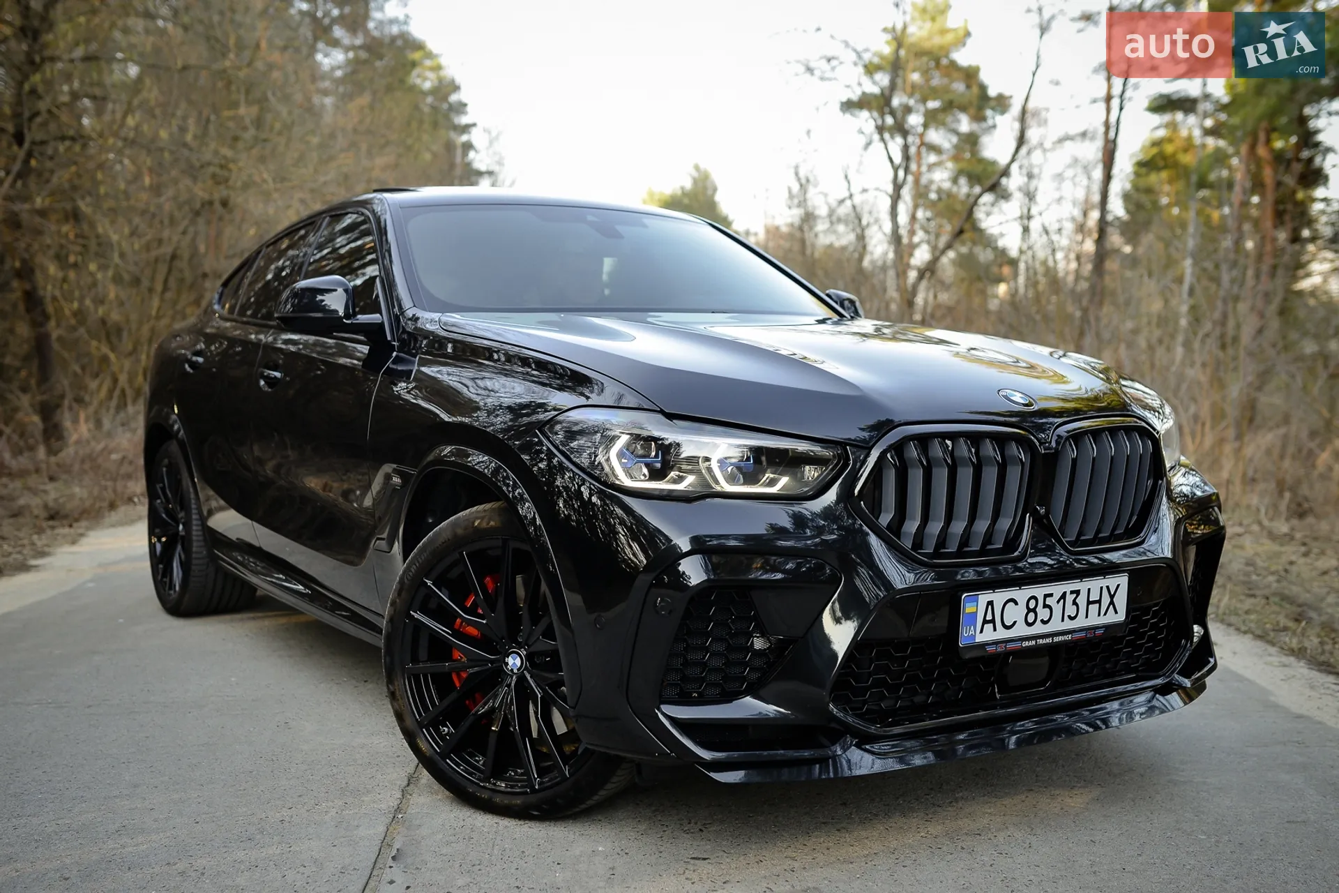 2022 BMW X6 - мініатюра 2
