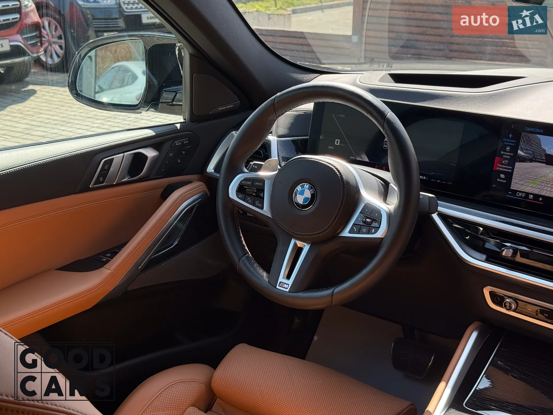 2024 BMW X6 - мініатюра 32