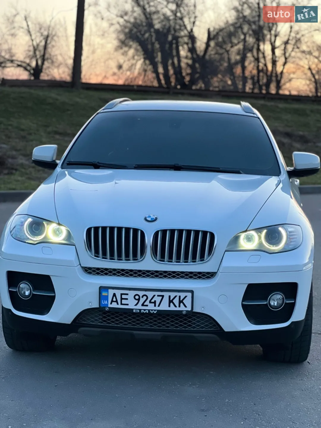 2010 BMW X6 - фото 1