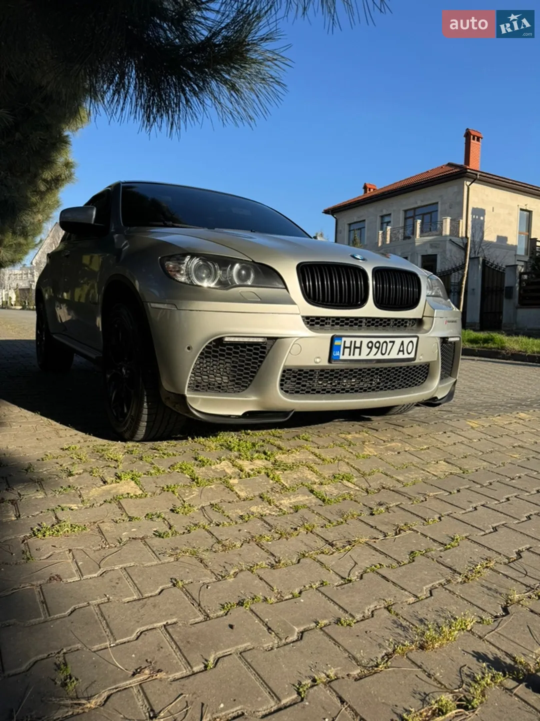 2011 BMW X6 - мініатюра 8