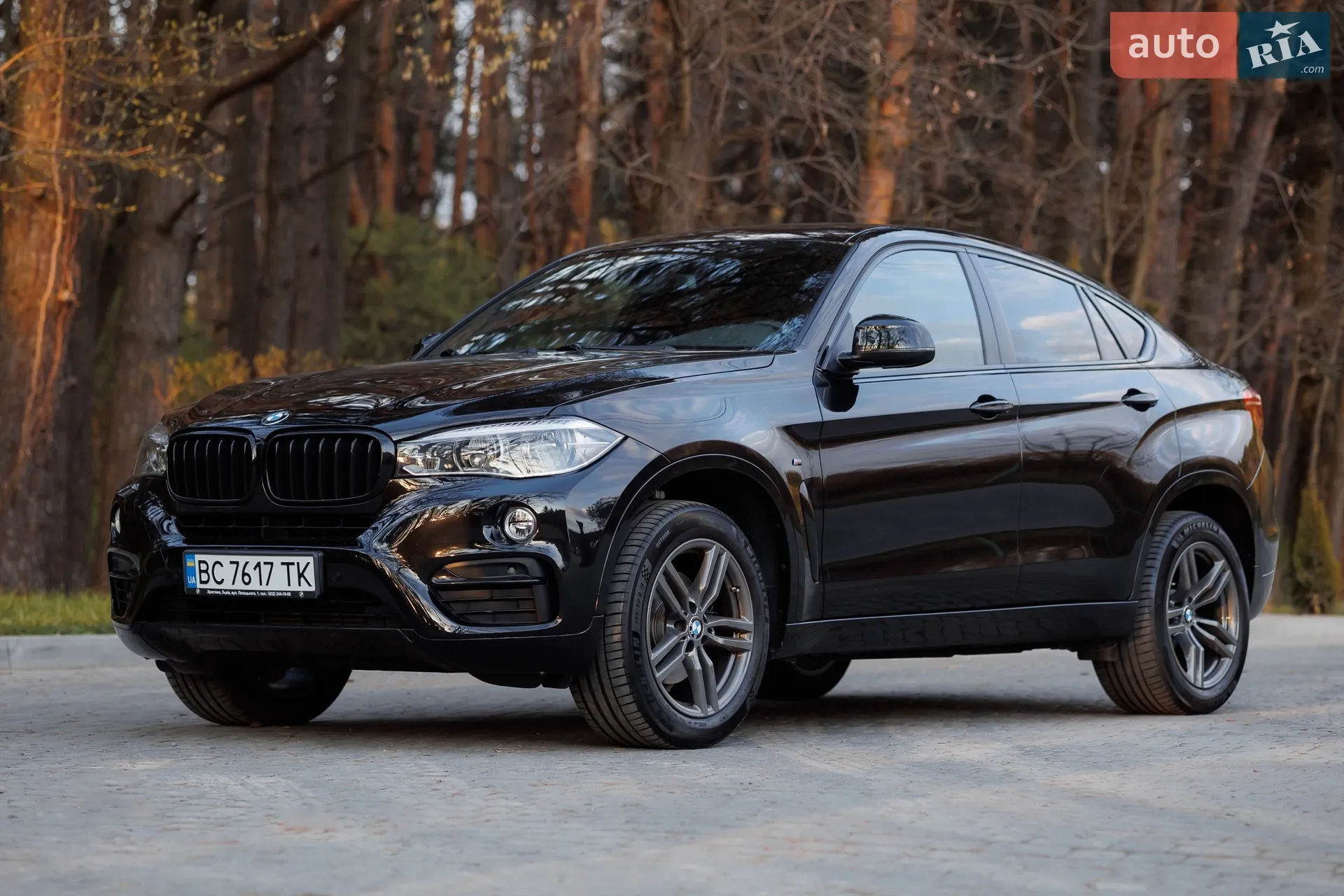 2017 BMW X6 - мініатюра 3