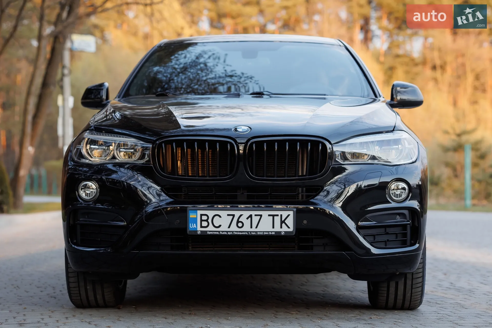 2017 BMW X6 - мініатюра 17