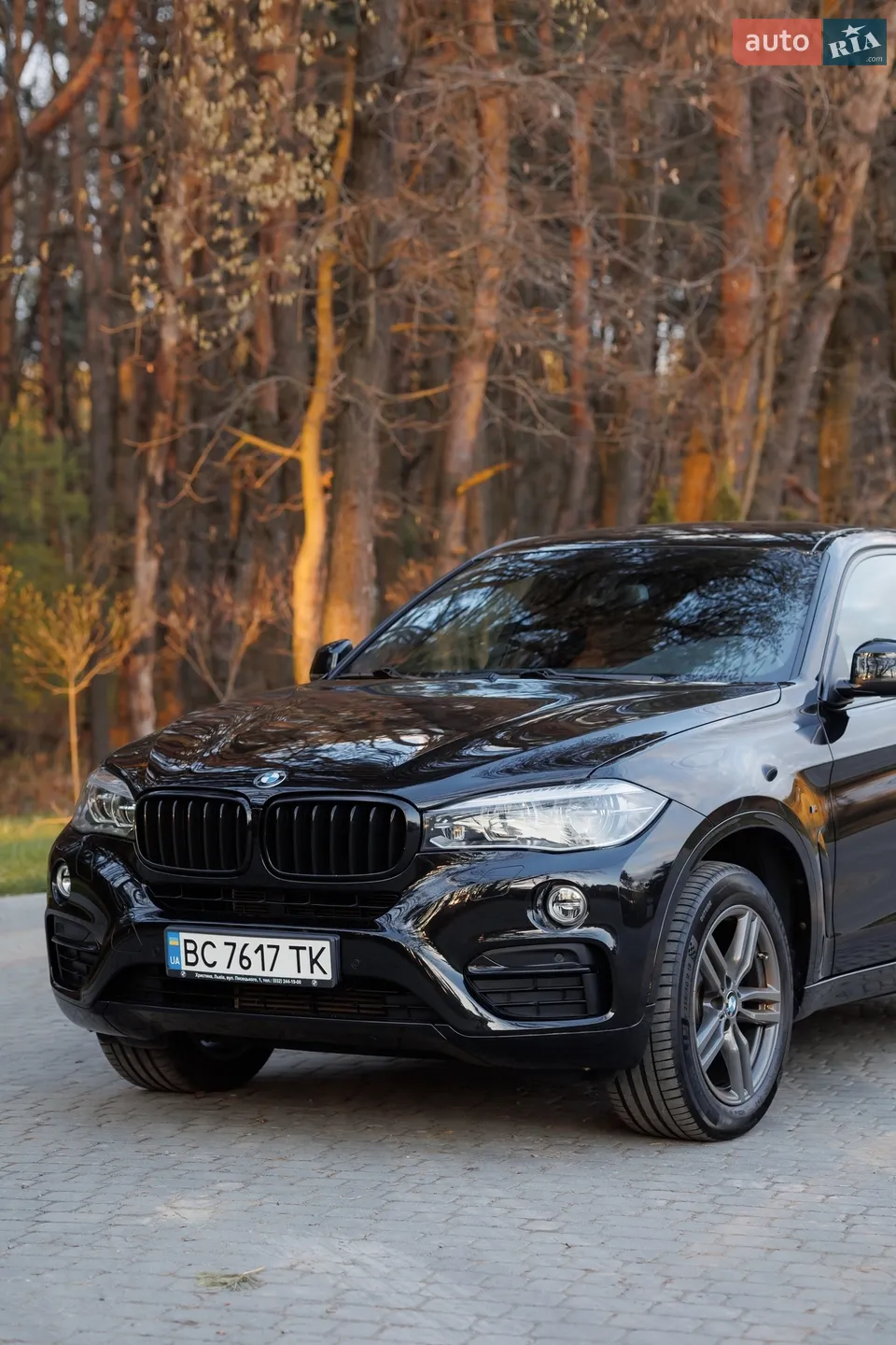 2017 BMW X6 - мініатюра 9