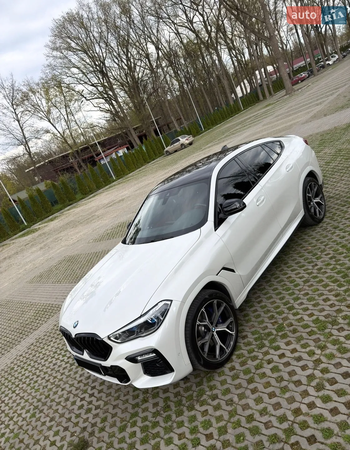 2021 BMW X6 - мініатюра 5