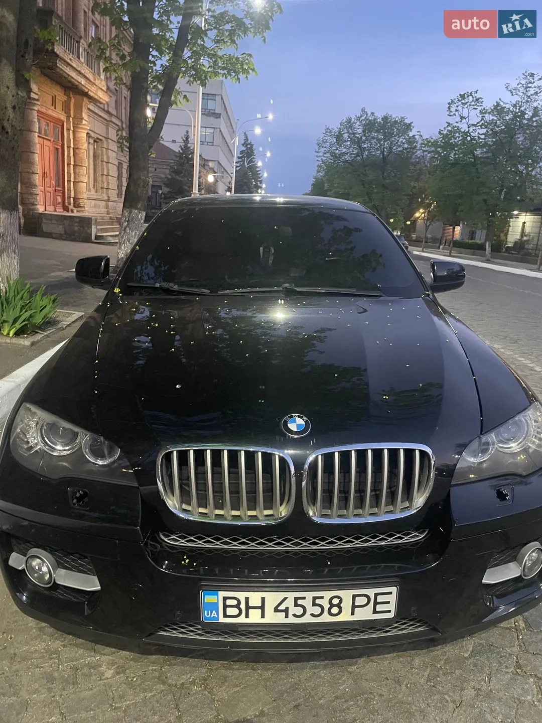 2010 BMW X6 - мініатюра 3