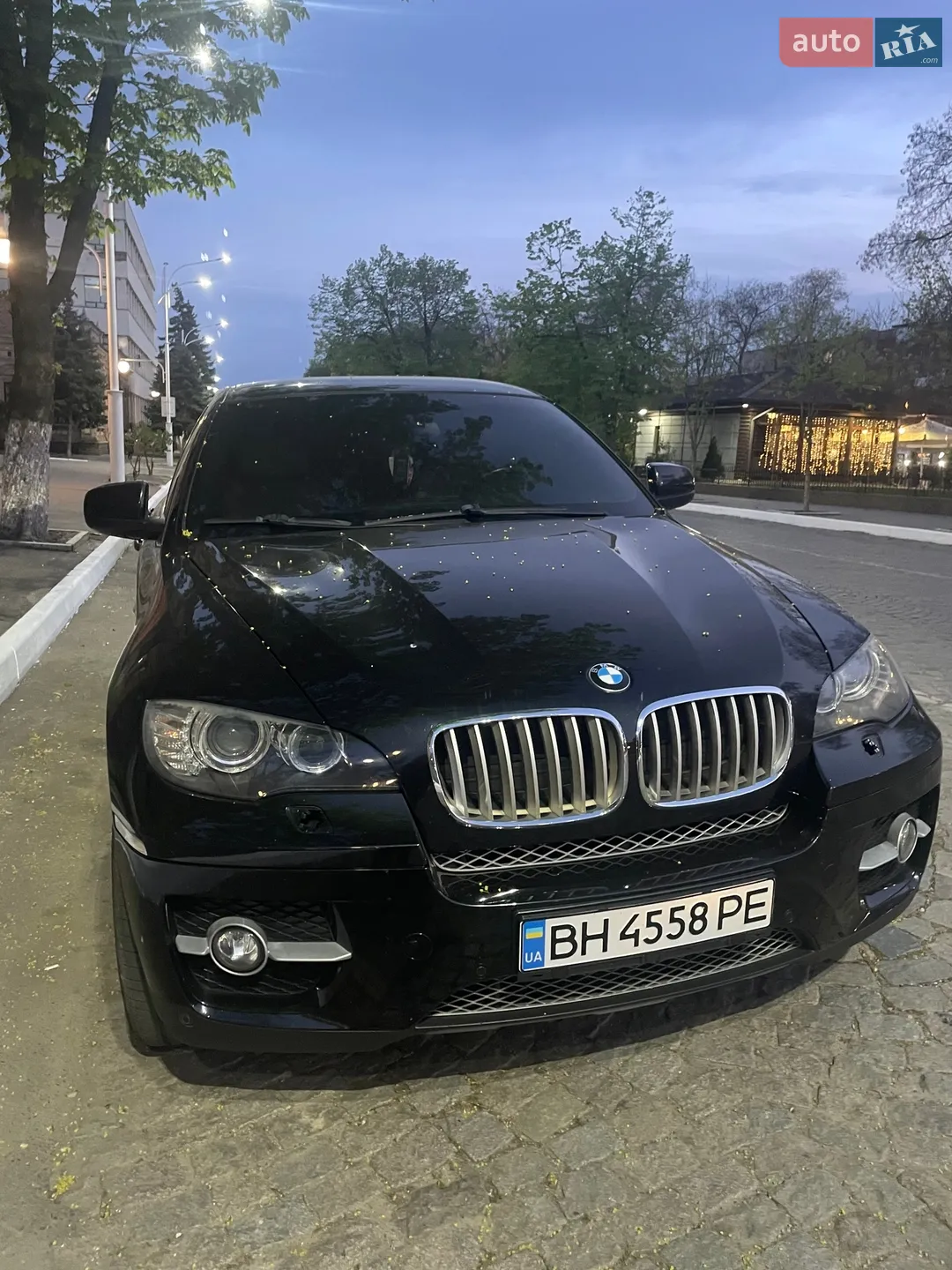 2010 BMW X6 - мініатюра 4