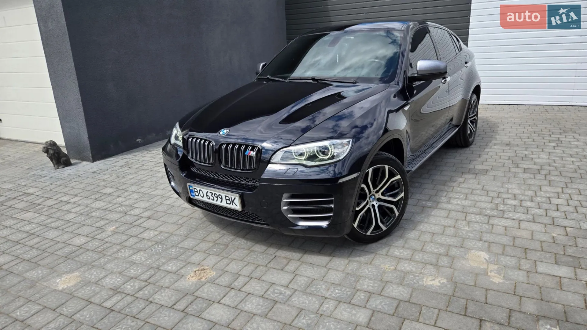 2013 BMW X6 - мініатюра 2