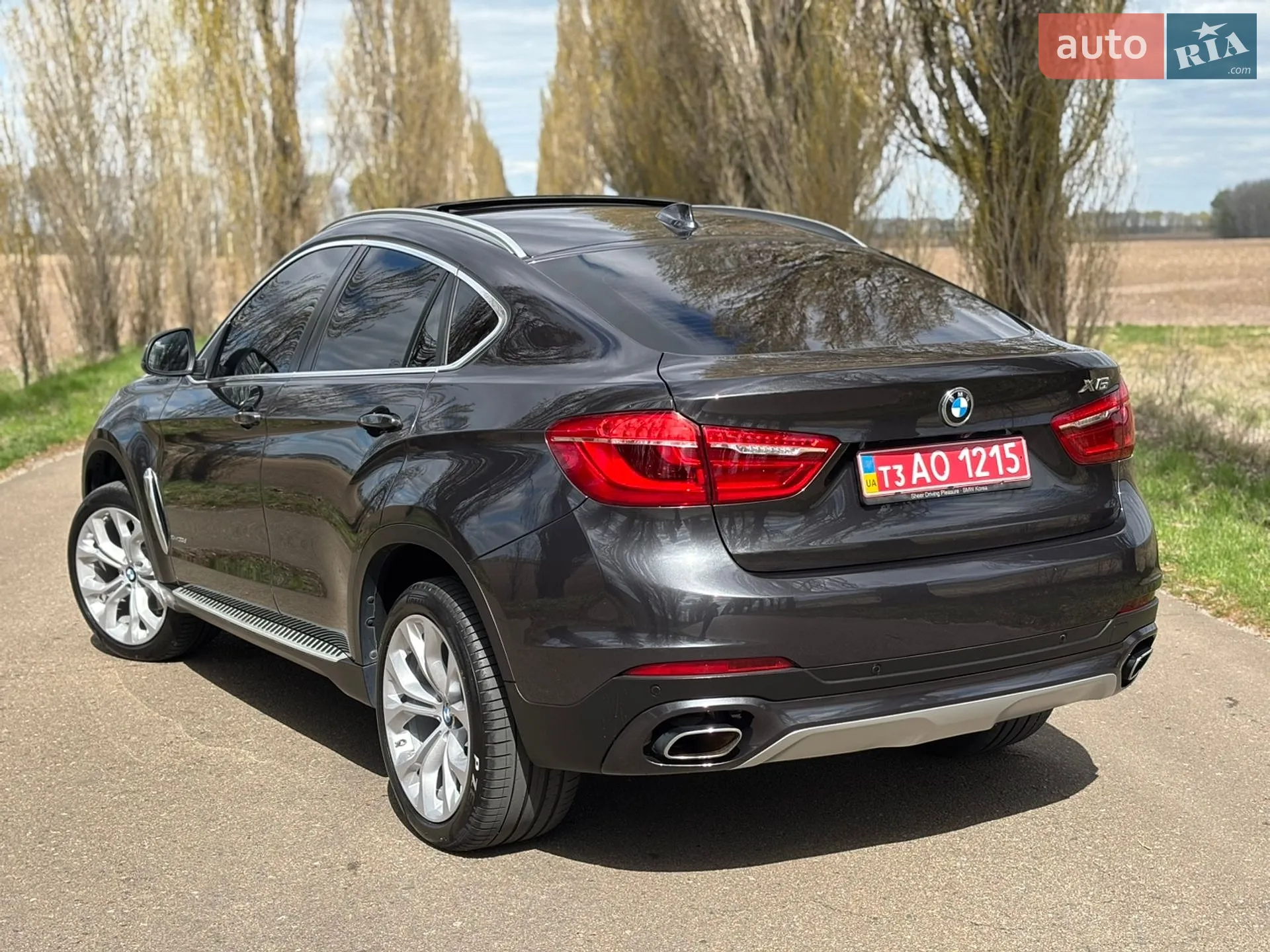 2018 BMW X6 - мініатюра 3