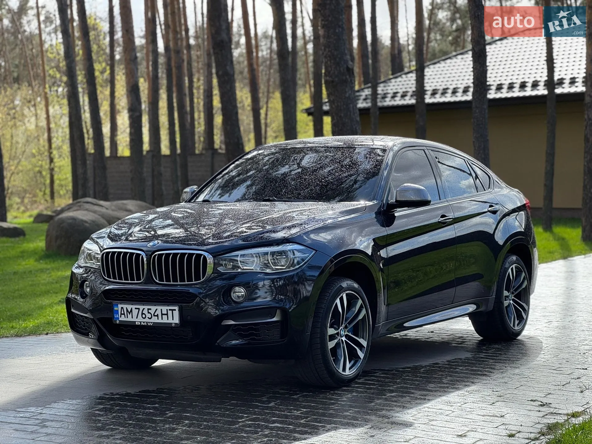 2017 BMW X6 - мініатюра 3