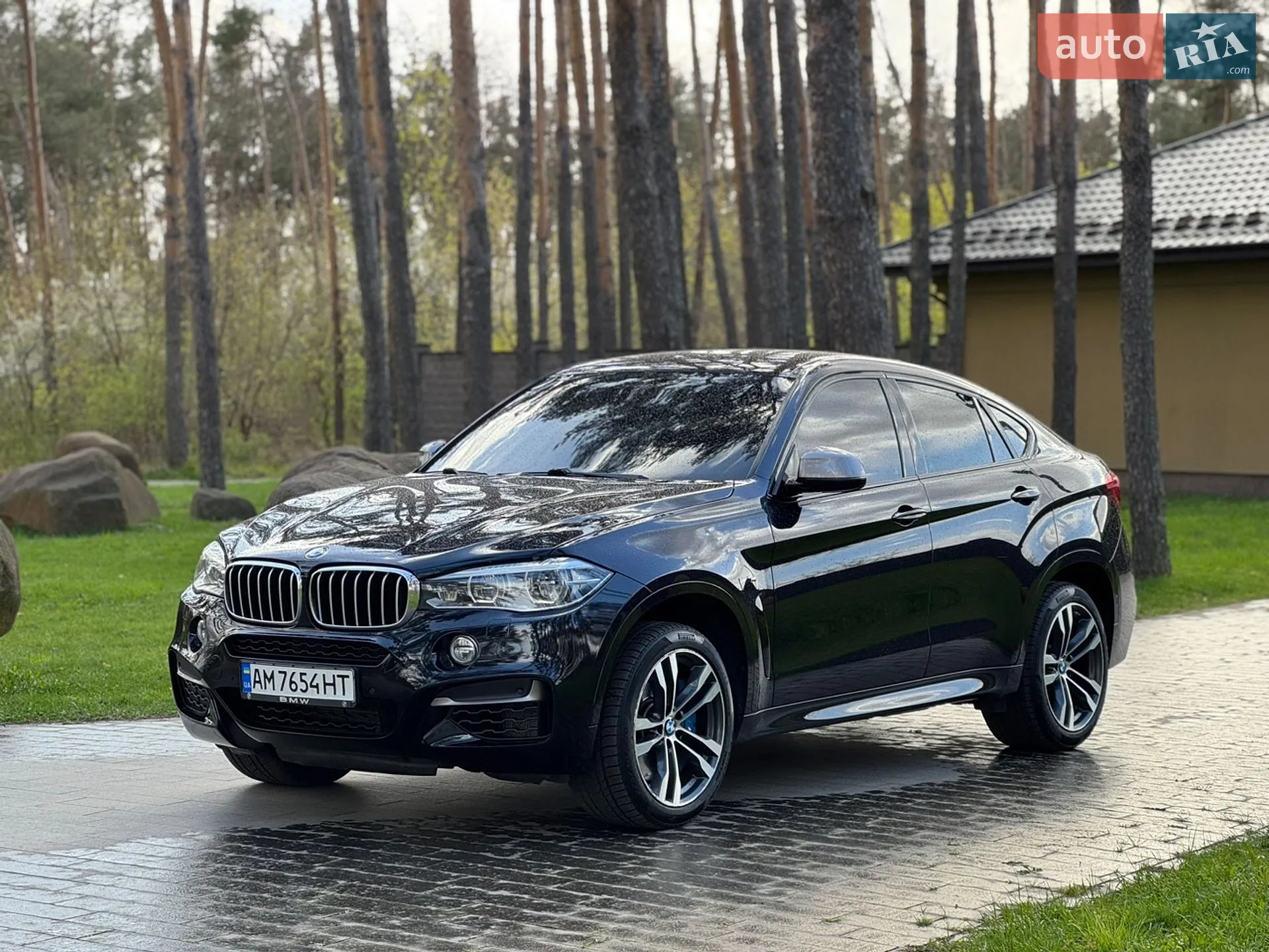 2017 BMW X6 - мініатюра 4