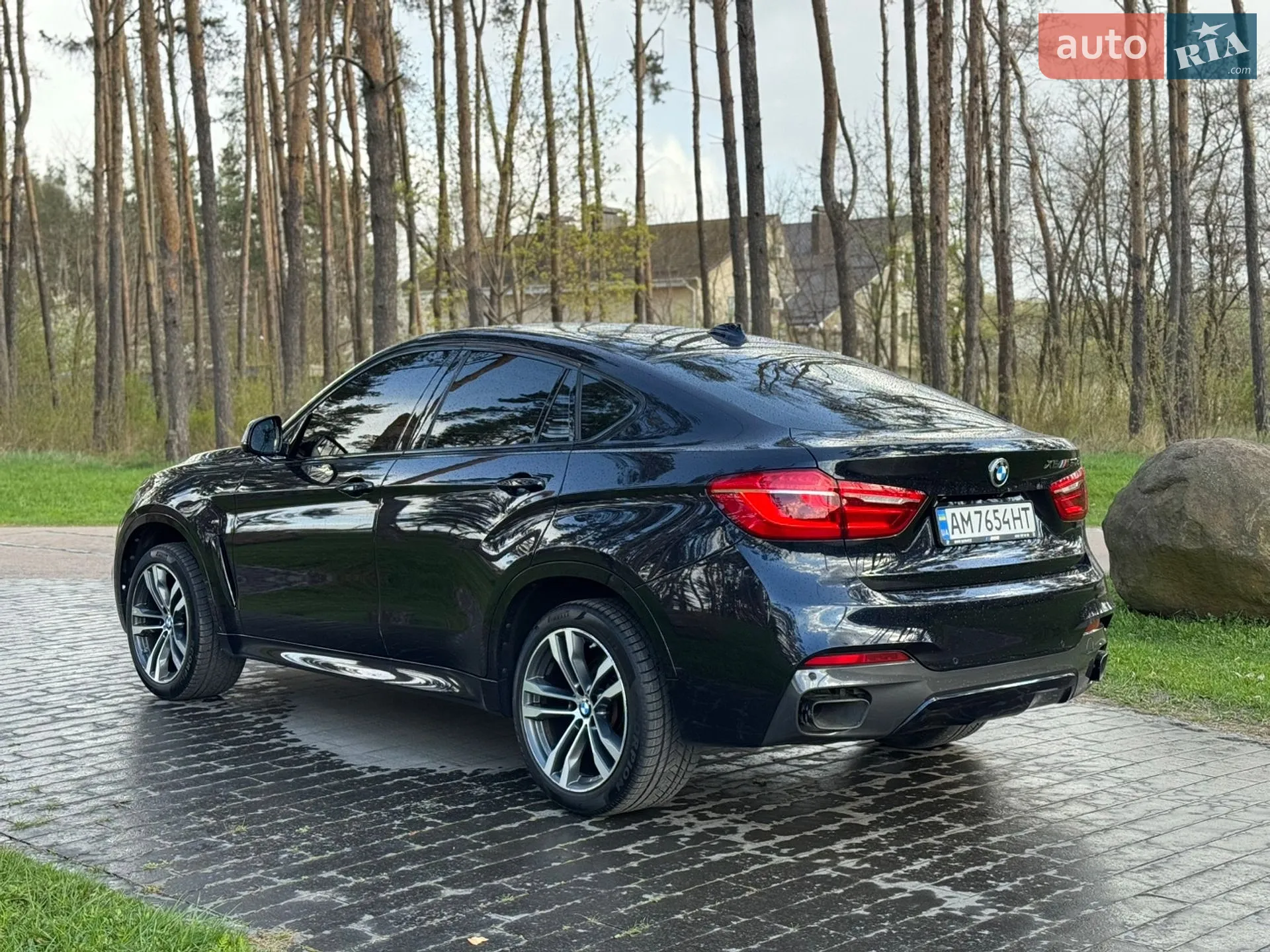 2017 BMW X6 - мініатюра 8