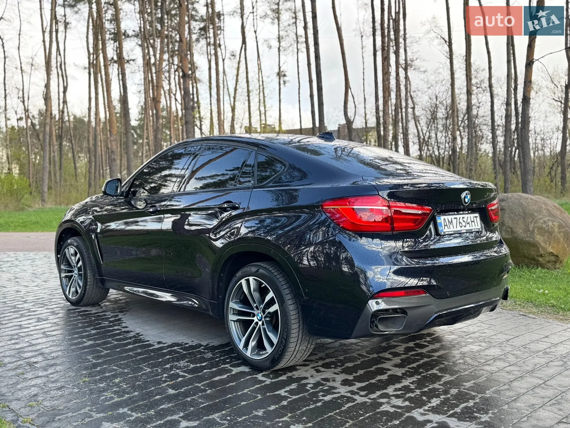 2017 BMW X6 - мініатюра 9