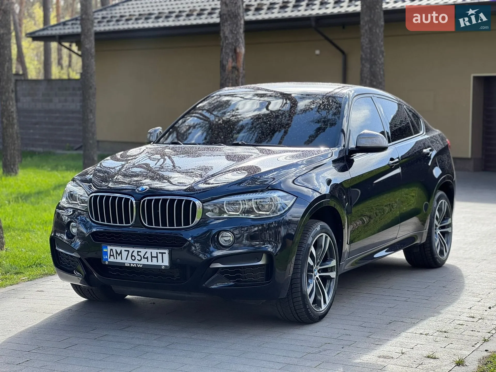 2017 BMW X6 - мініатюра 5