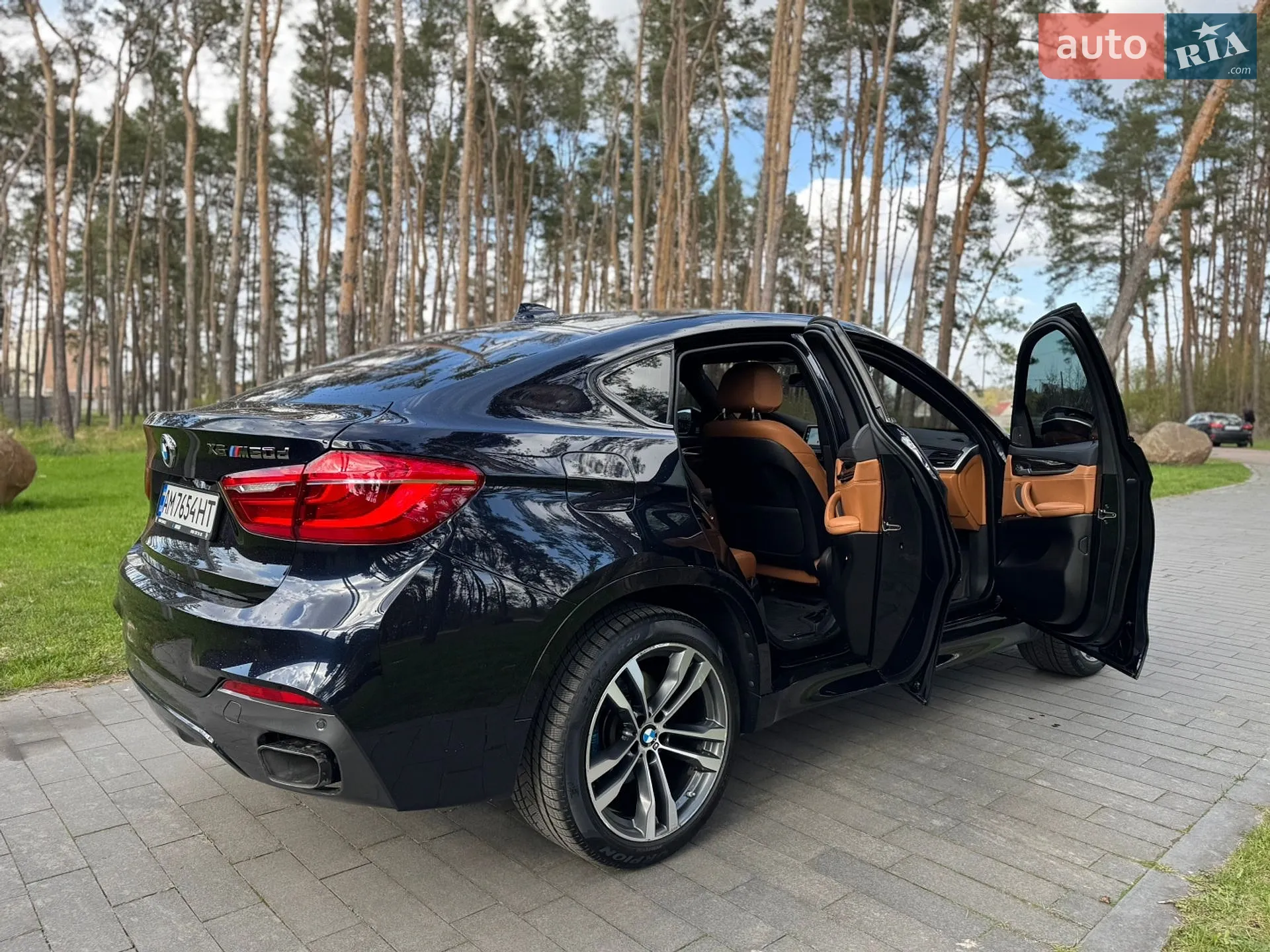 2017 BMW X6 - мініатюра 13