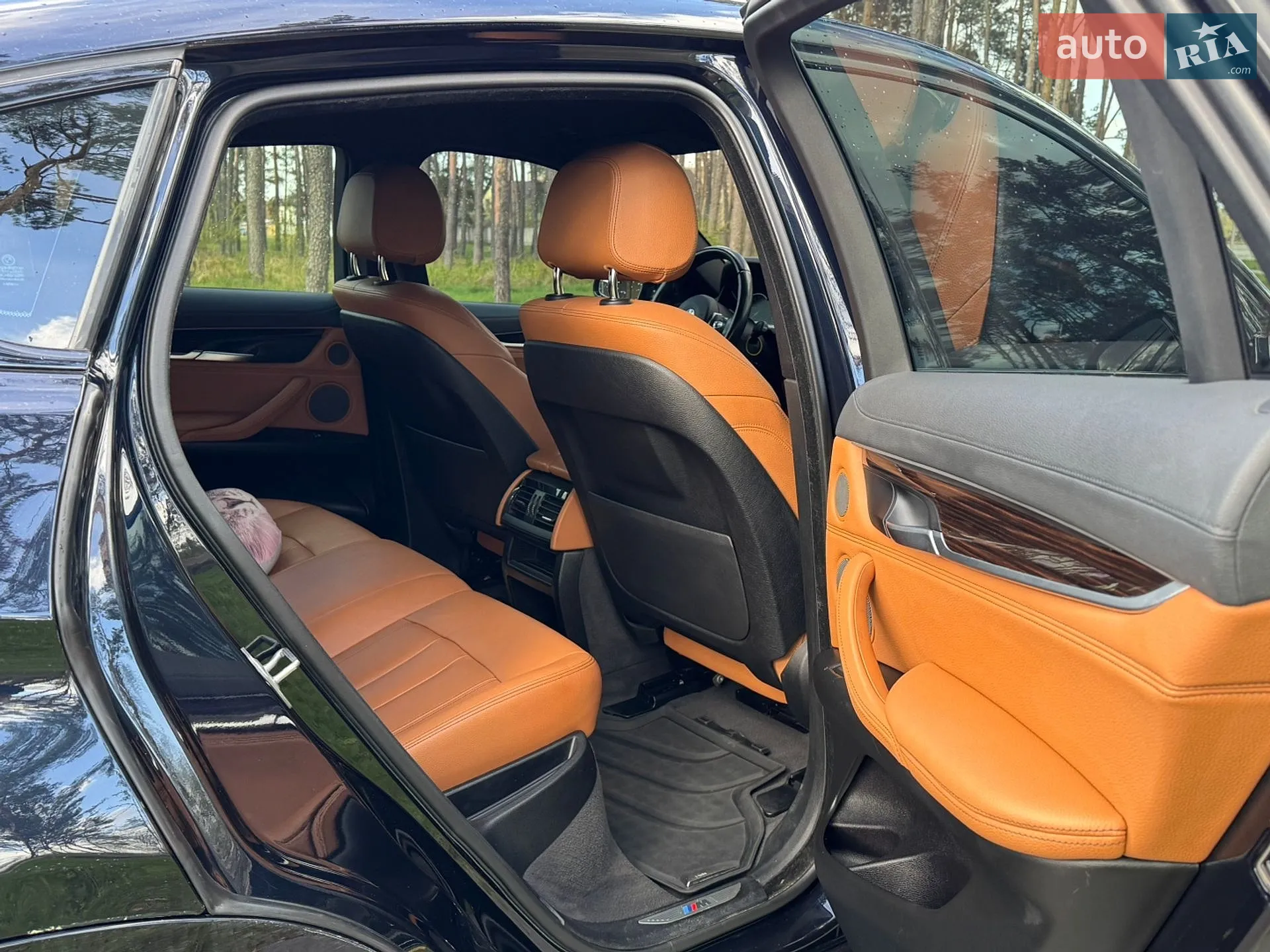2017 BMW X6 - мініатюра 18