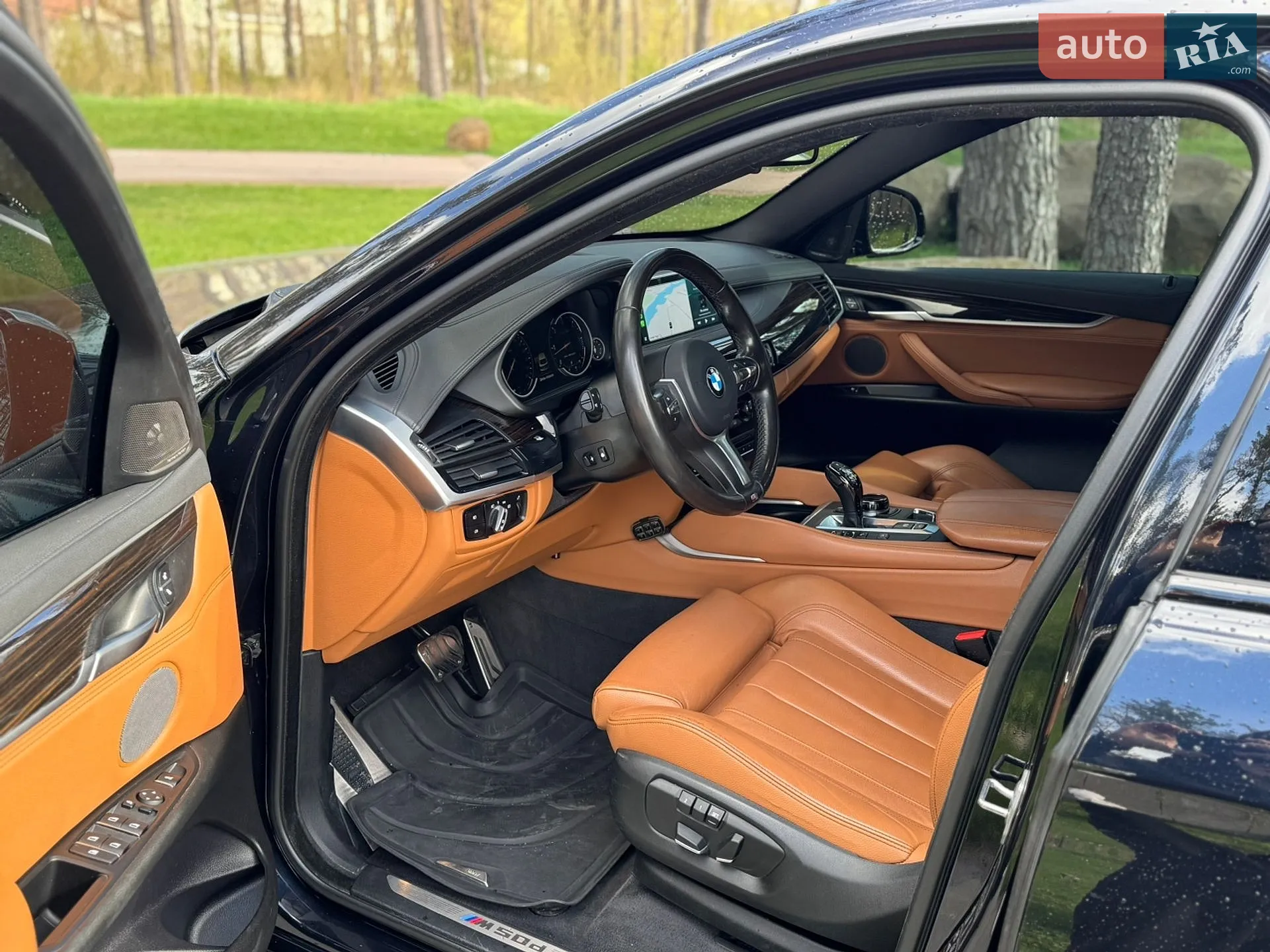 2017 BMW X6 - мініатюра 19